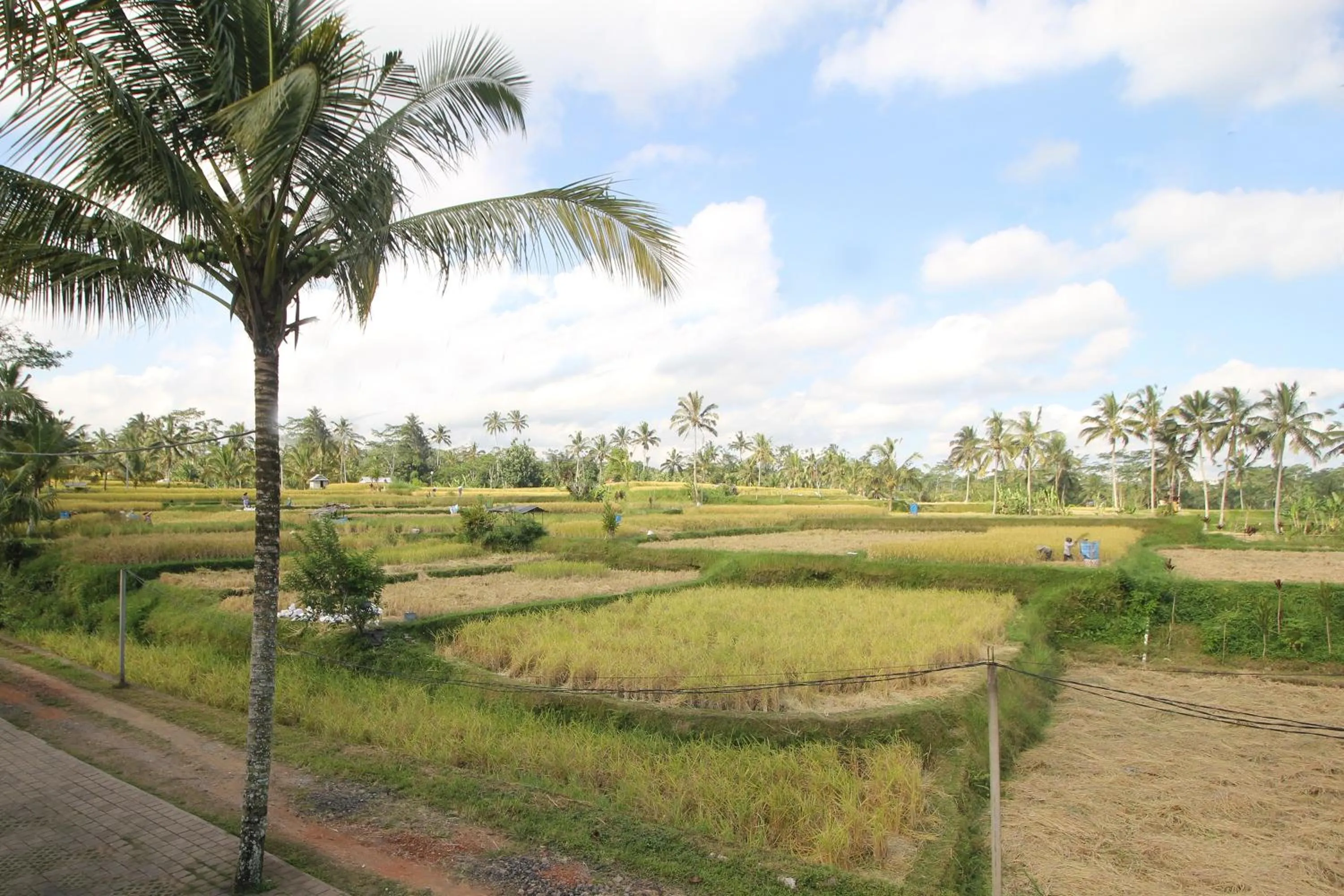 Day in Swaha Retreat & Eco Park Ubud