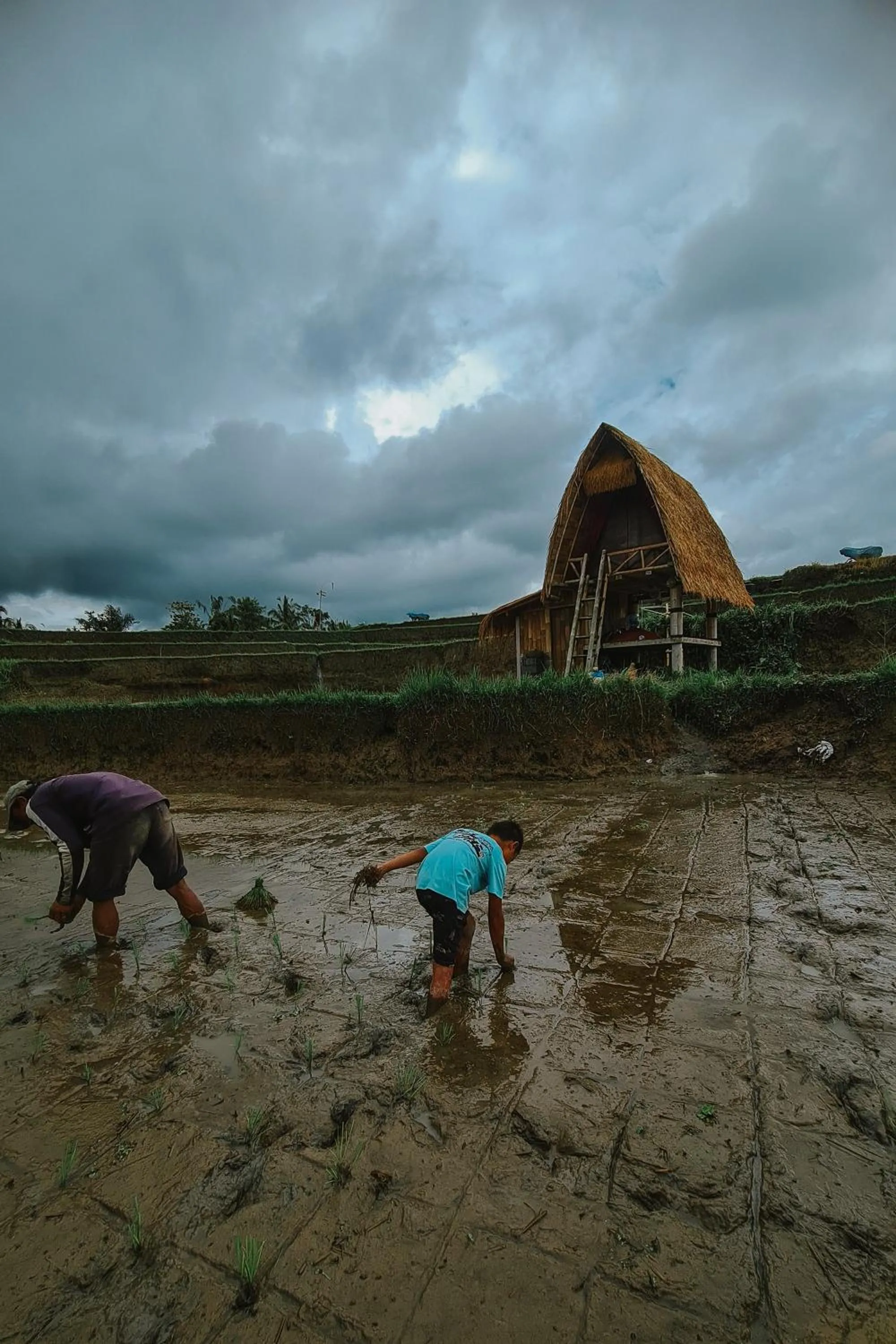 group of guests in Swaha Retreat & Eco Park Ubud