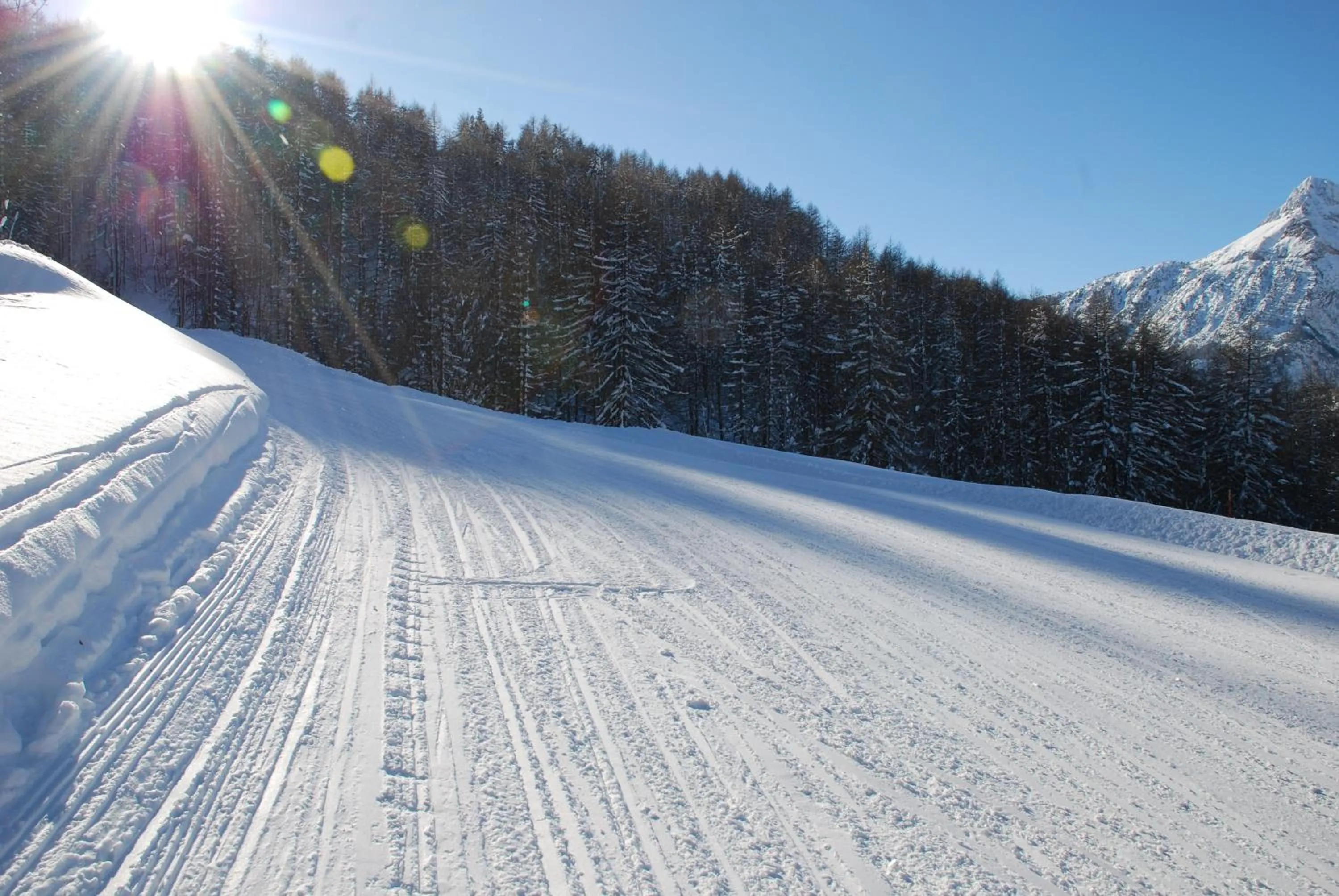 Ski School in Residence La Tana del Ghiro
