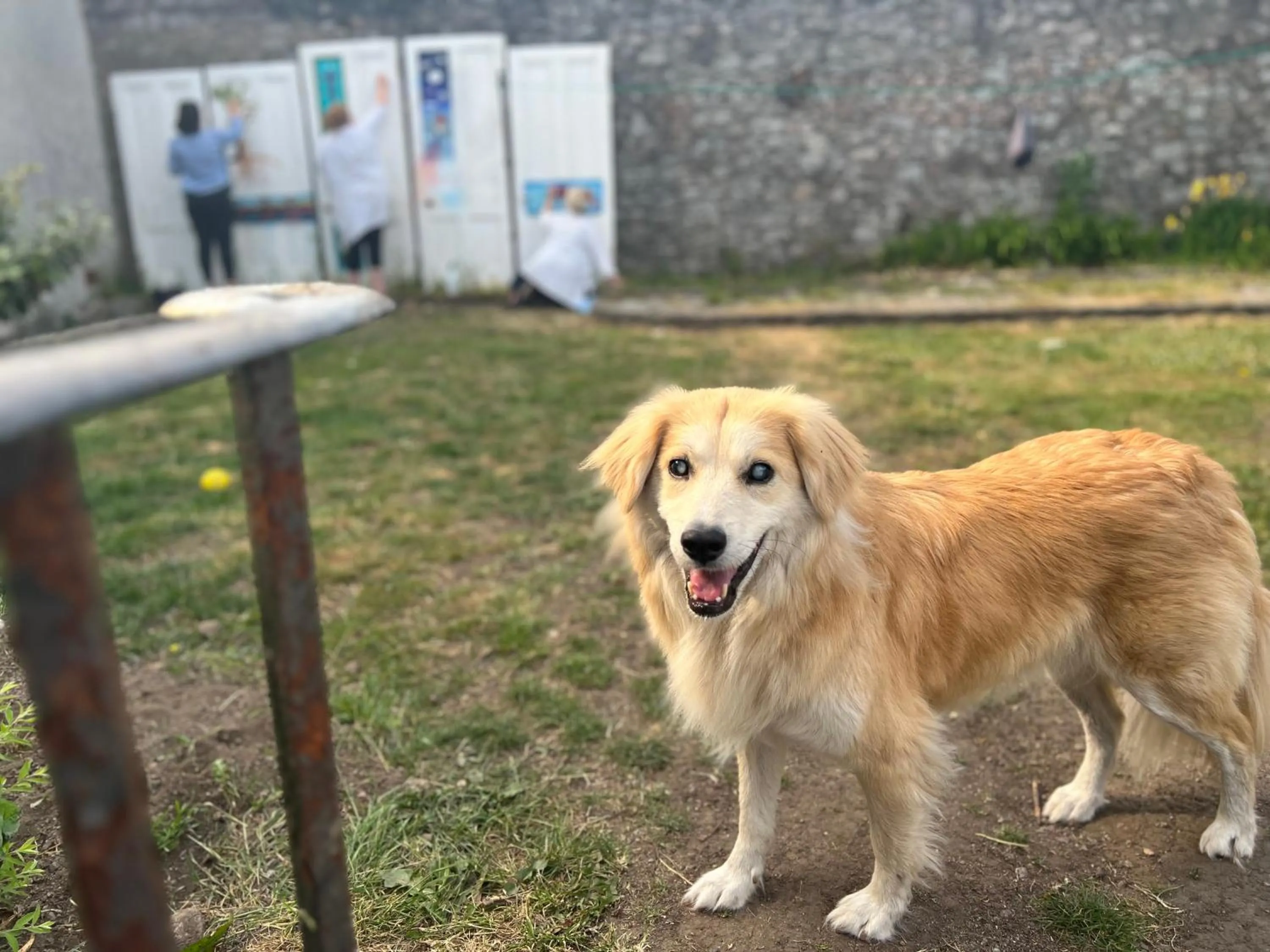 Garden in The Art Bank