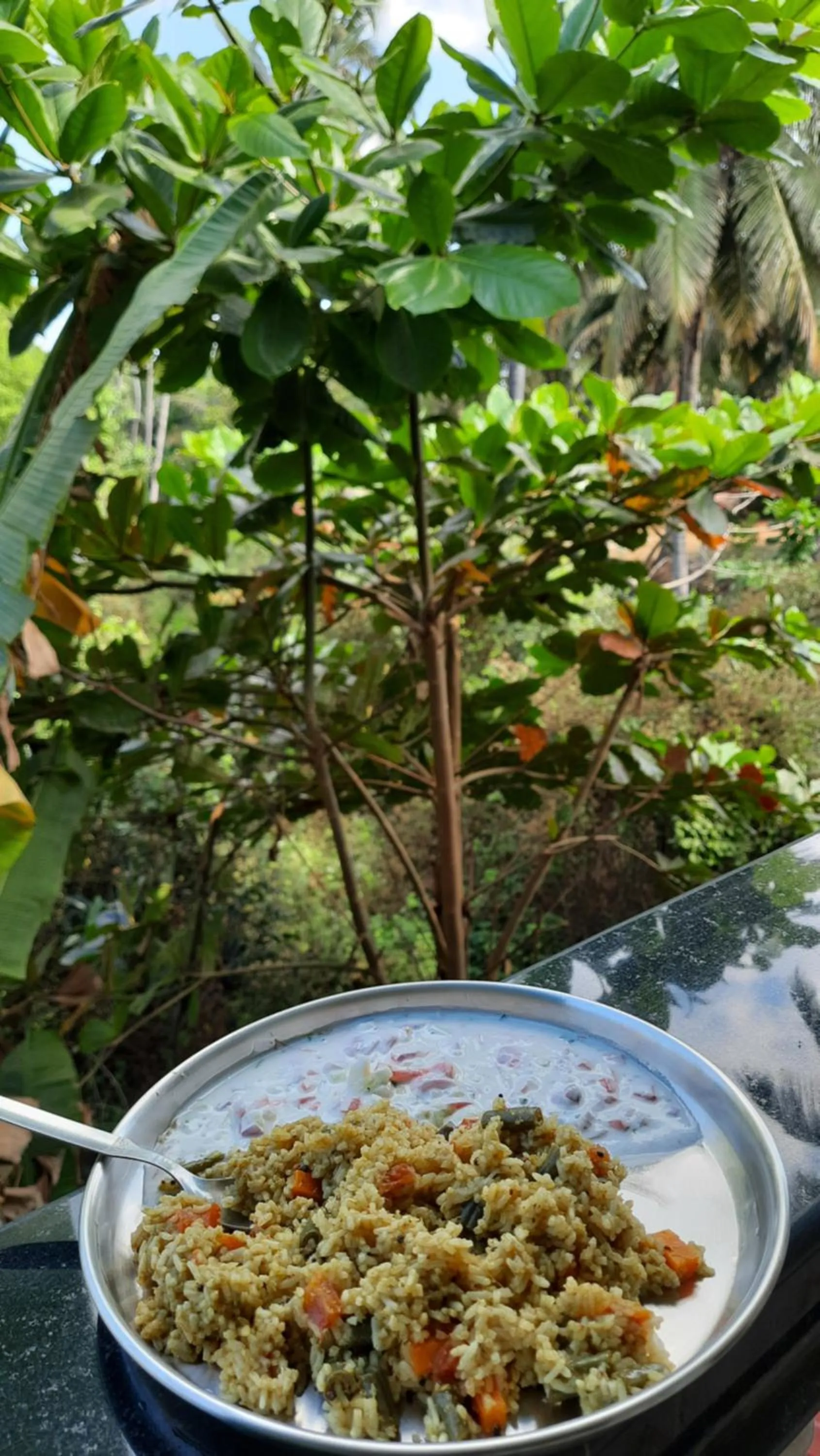 Food in Tropical Wave Hostel Morjim Goa