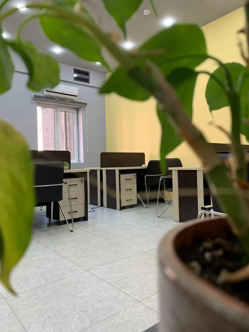 Safarov's Family Hostel