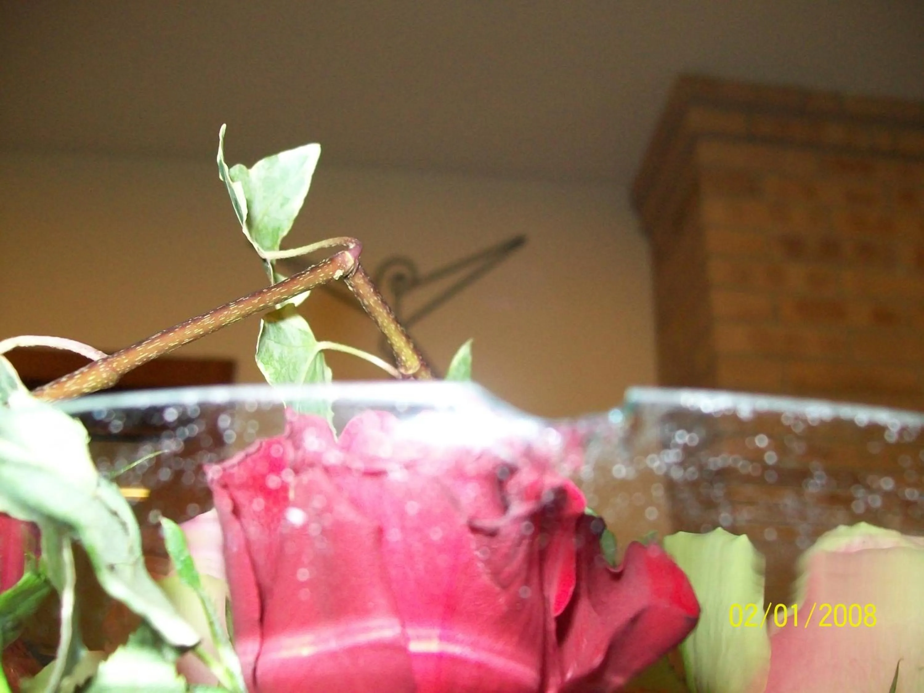 Other in Hotel Ristorante Il Gambero