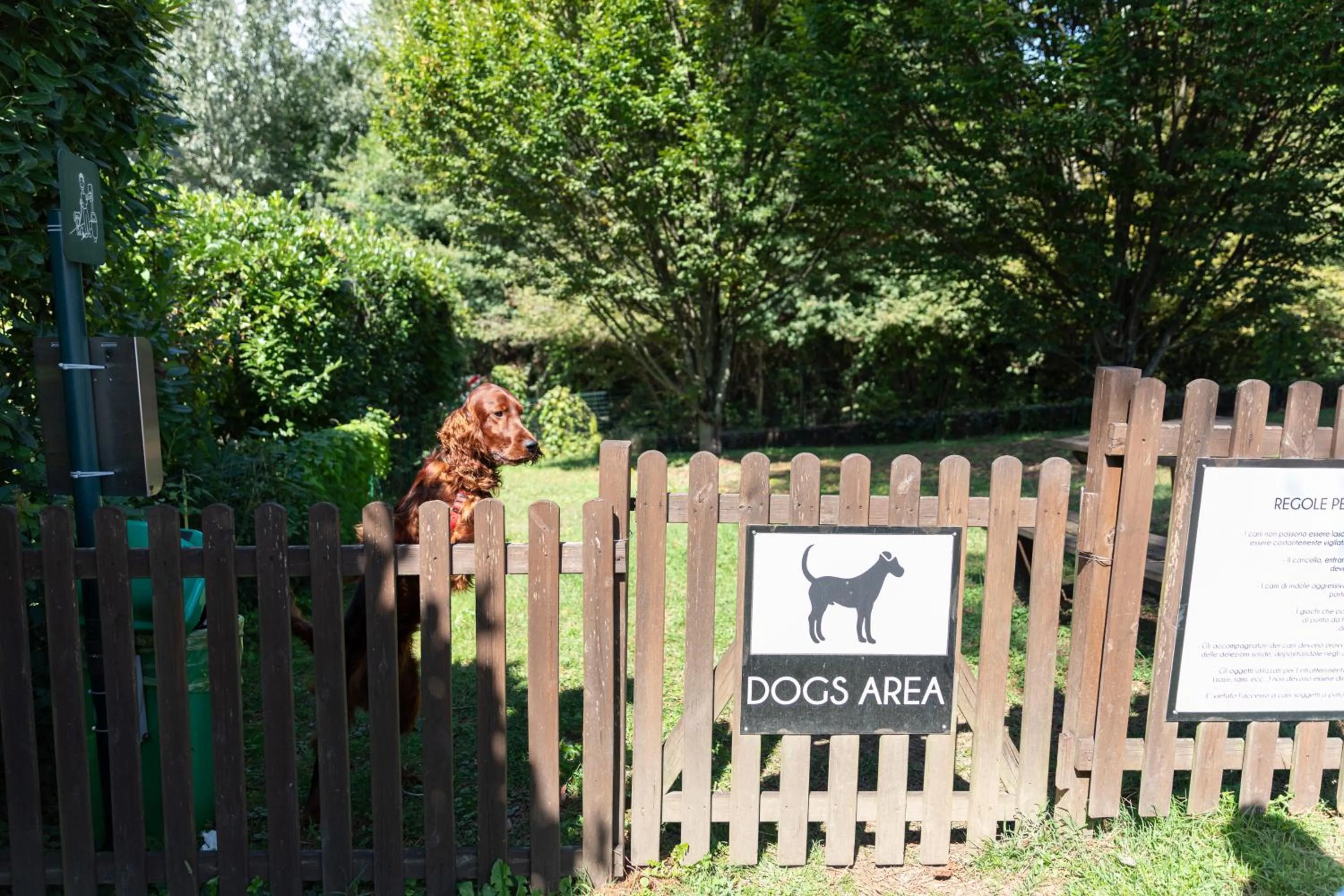 Animals in Hotel Horizon Wellness & Spa Resort - Best Western Signature Collection