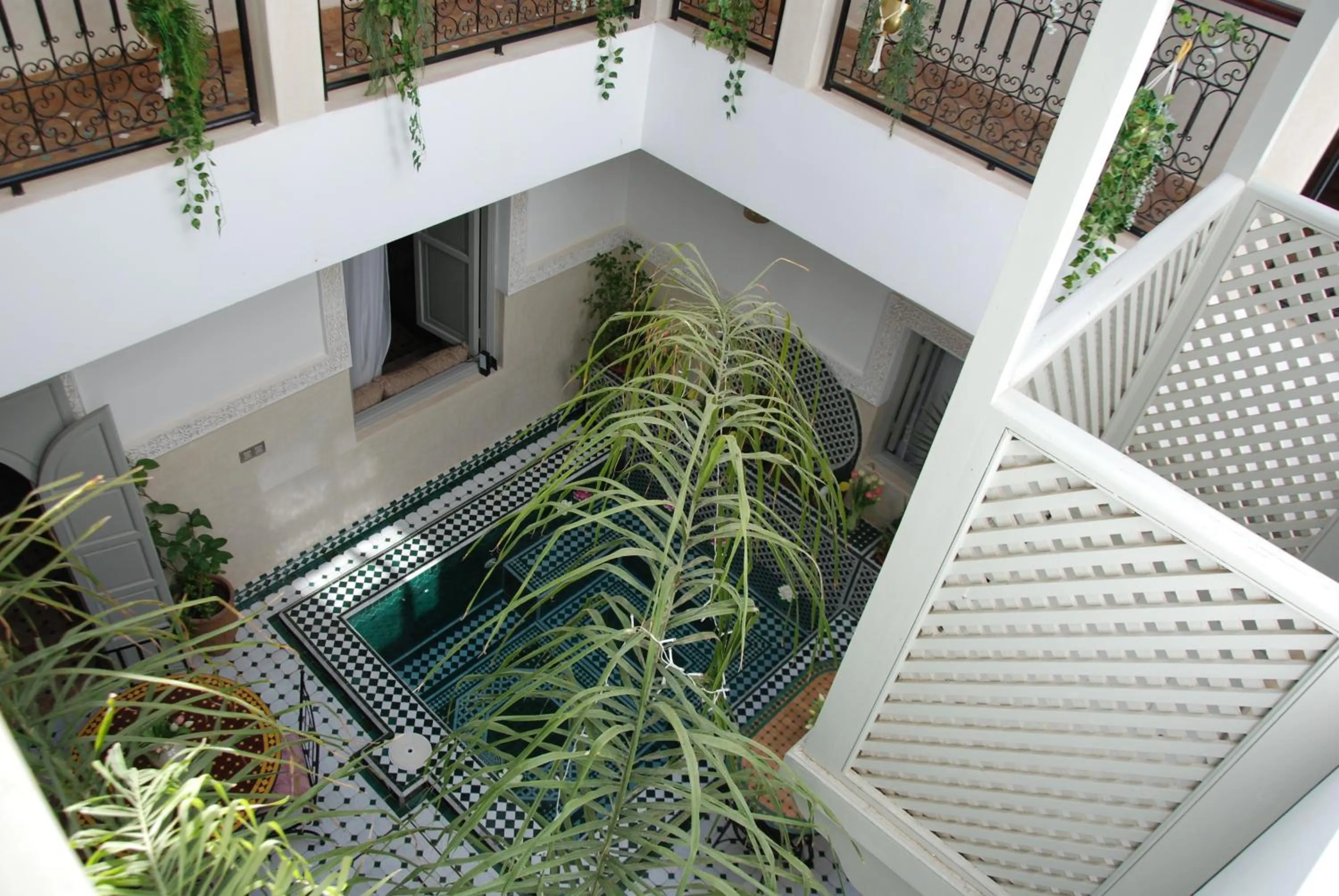 Garden view in Riad Magnolia&SPA