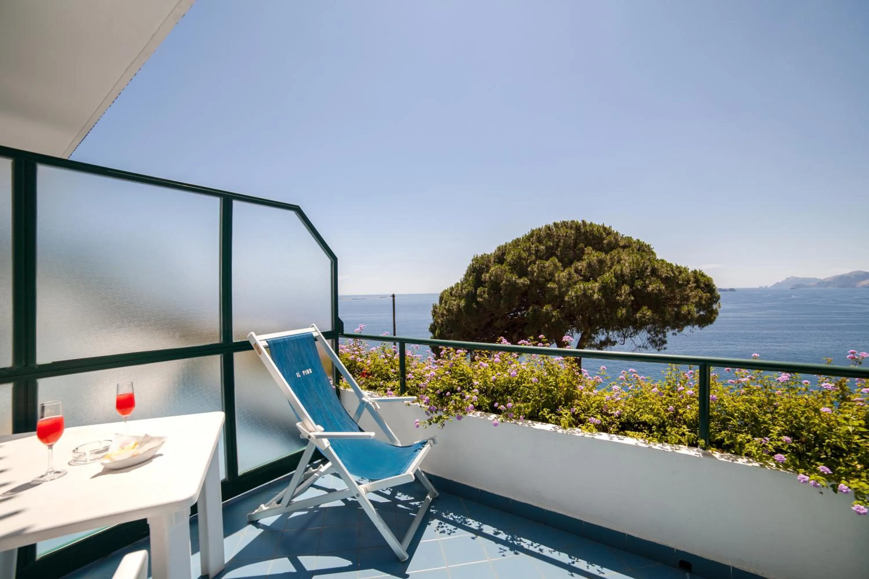 Balcony/Terrace in Hotel Il Pino