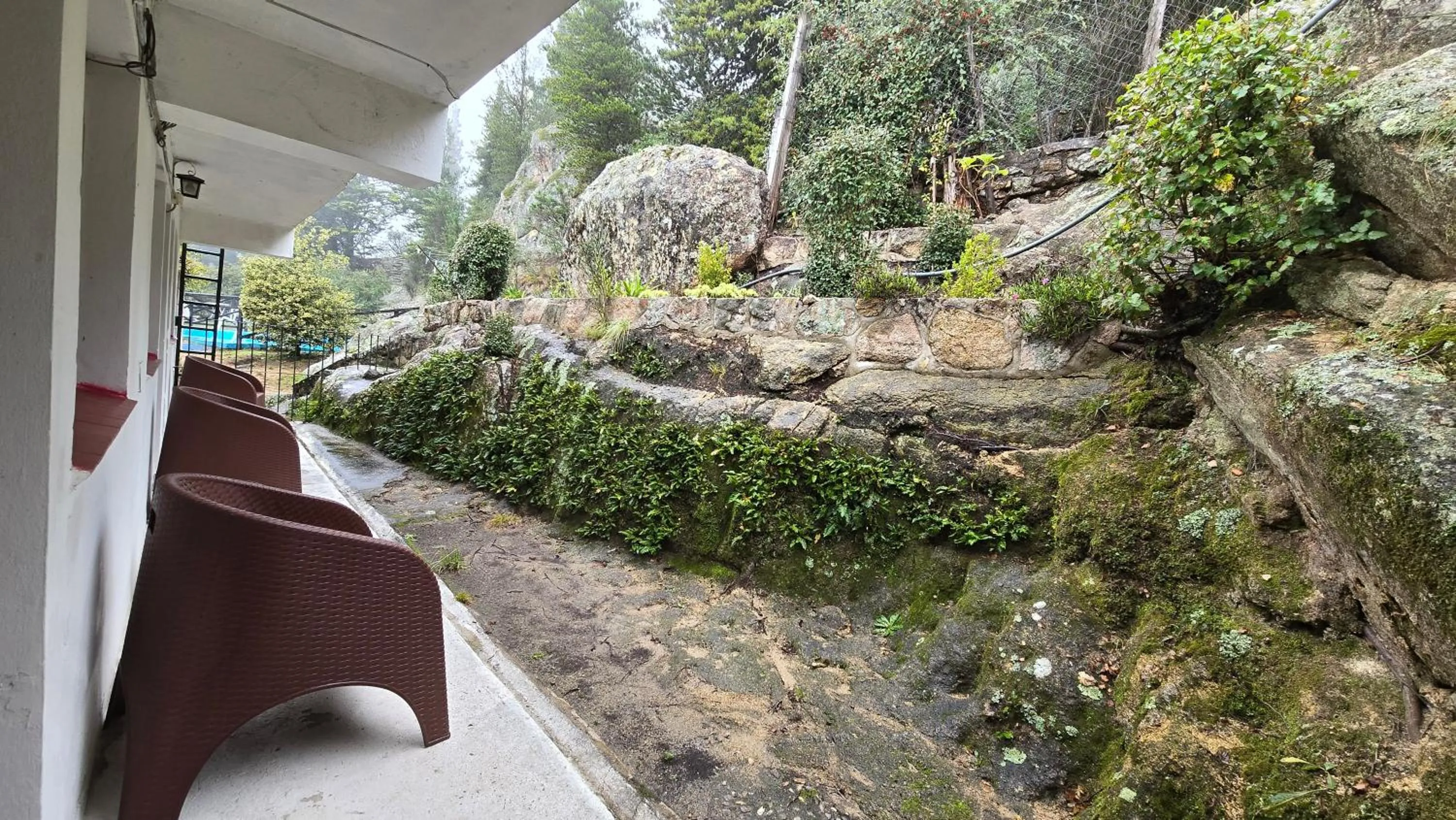 Garden in Hotel Panorama