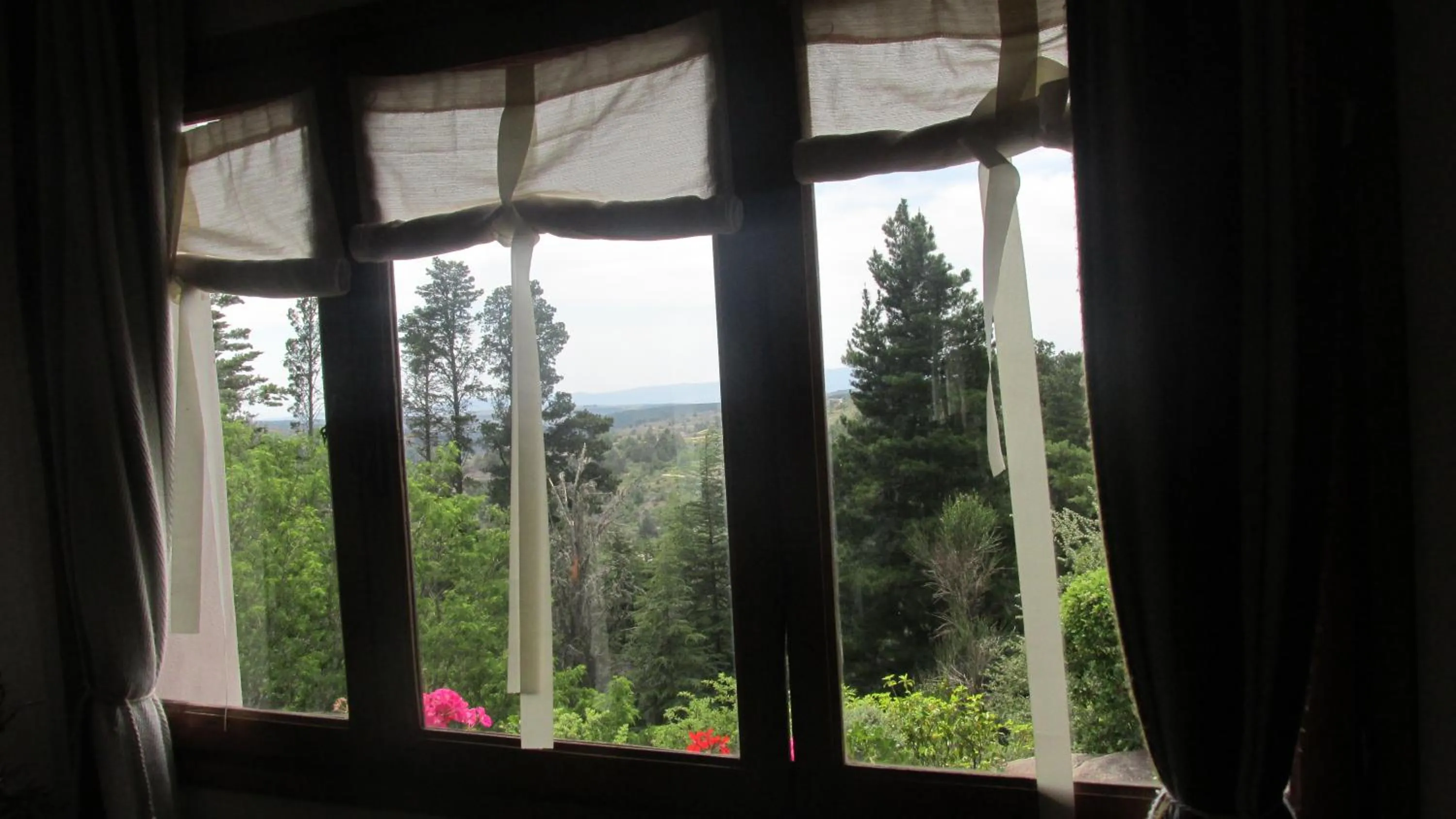 Natural landscape in Hotel Panorama