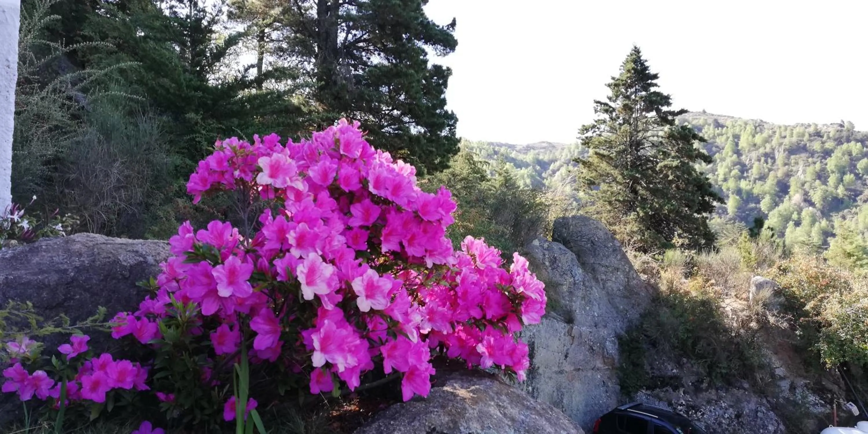 Facade/entrance in Hotel Panorama