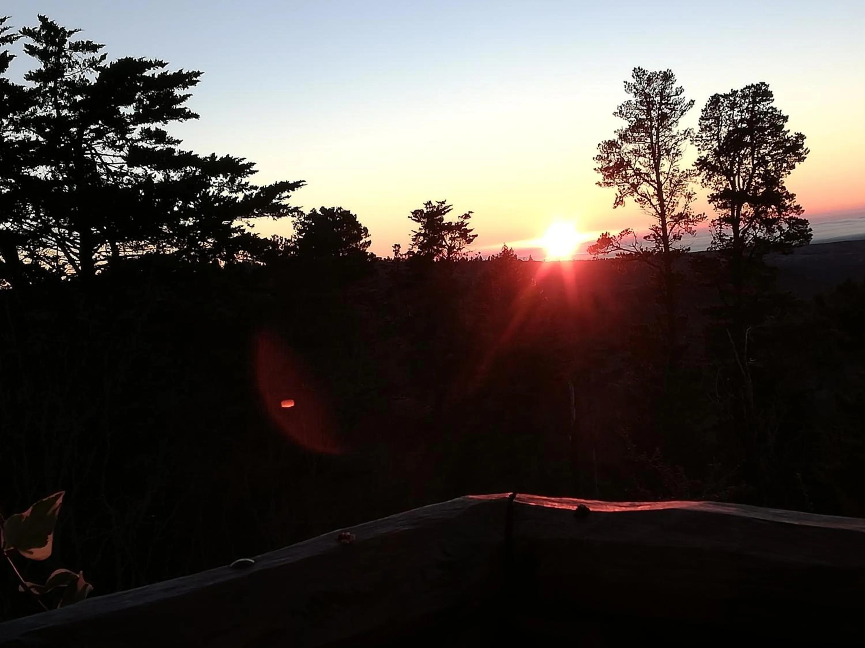 Natural landscape in Hotel Panorama