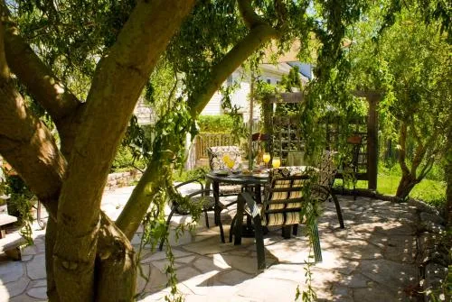 Sapience Retreat & Apothecary