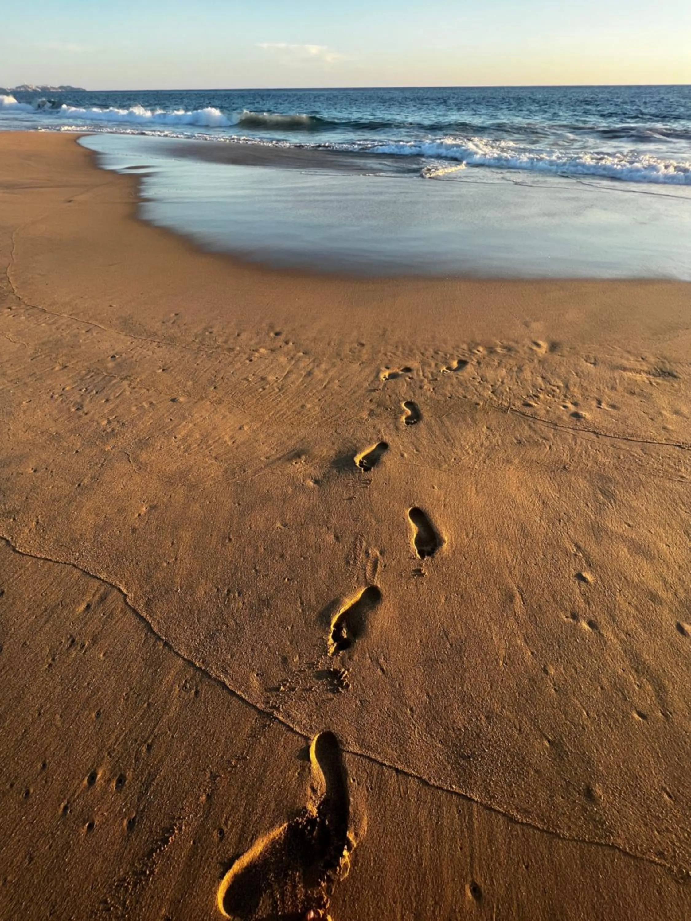 Condominio Agave del Mar