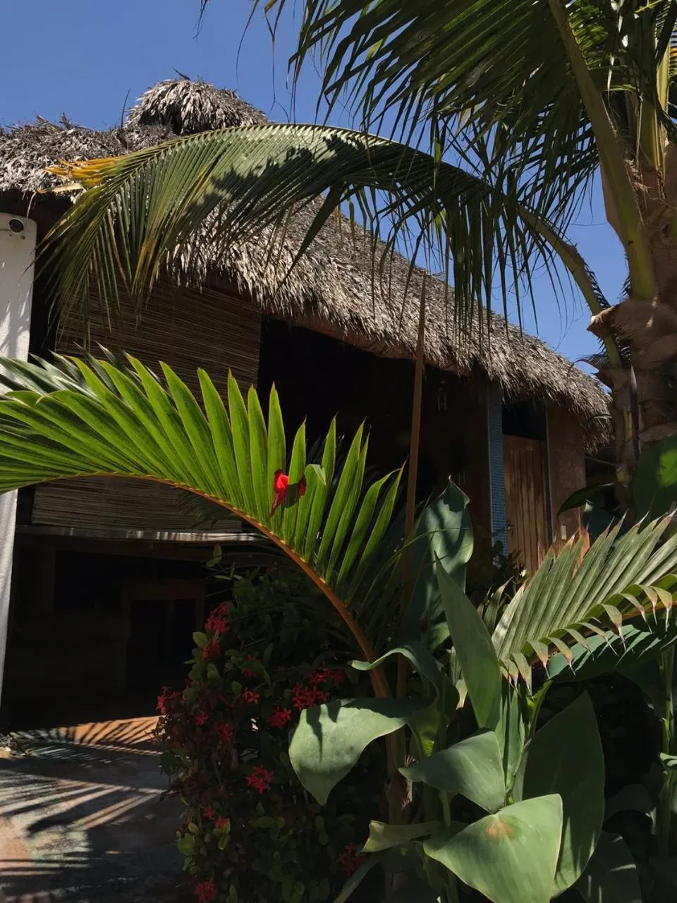 Condominio Agave del Mar