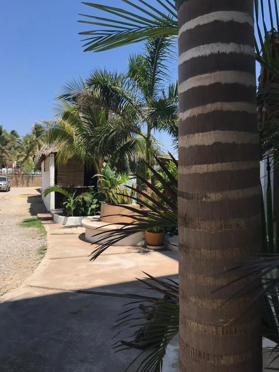 Condominio Agave del Mar