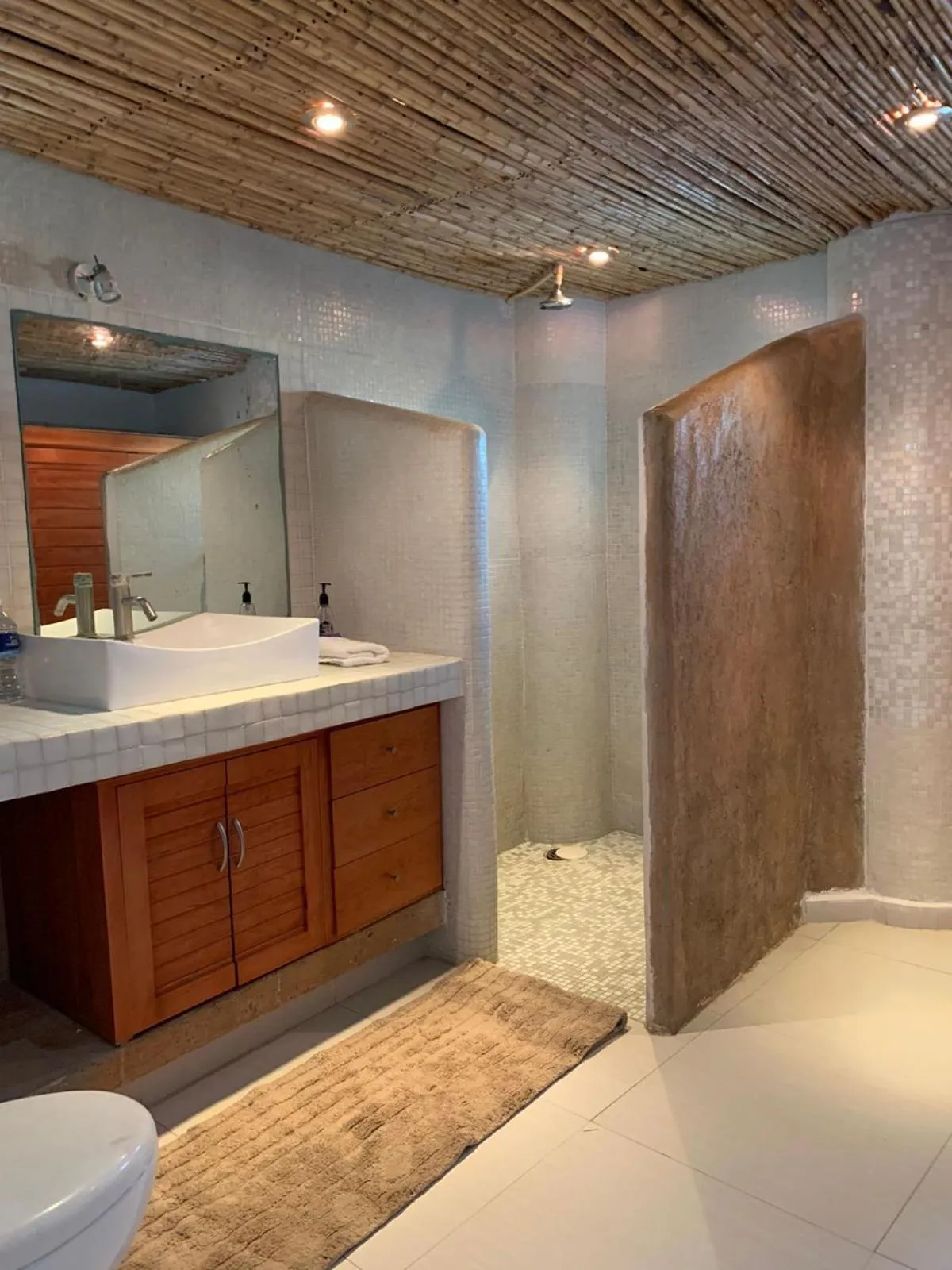 Condominio Agave del Mar