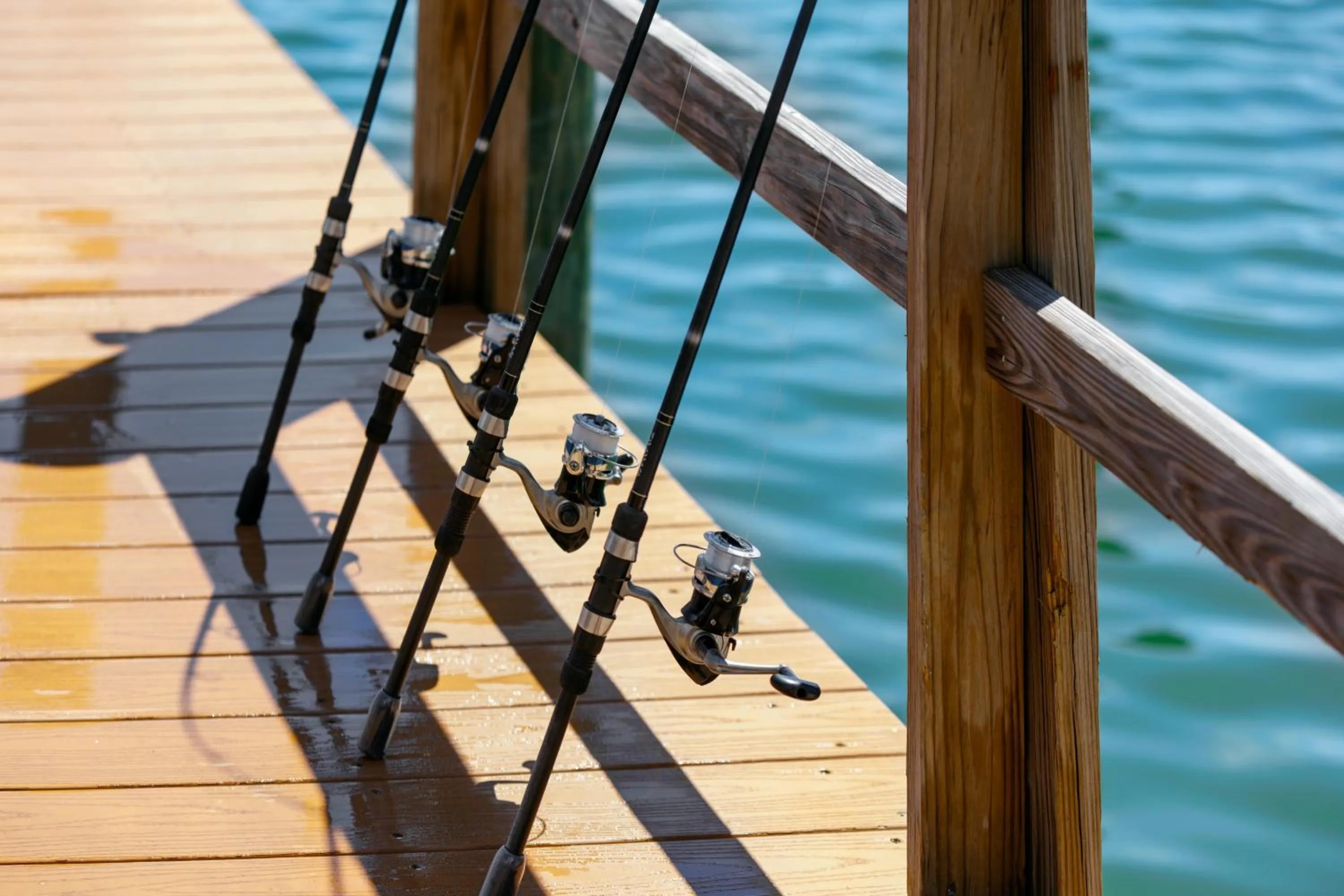 Activities in The Hotel Zamora