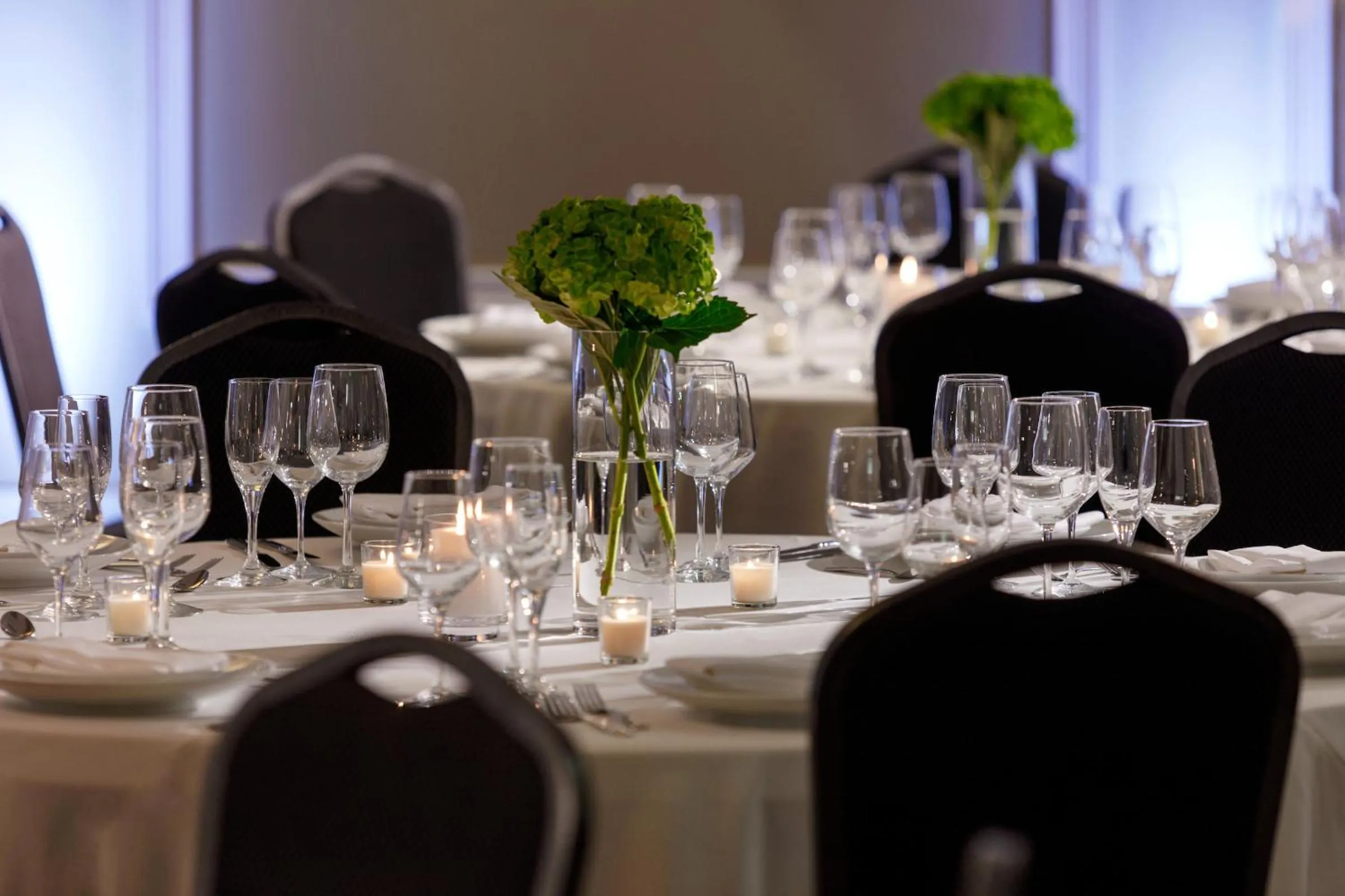Banquet/Function facilities in The Hotel Zamora