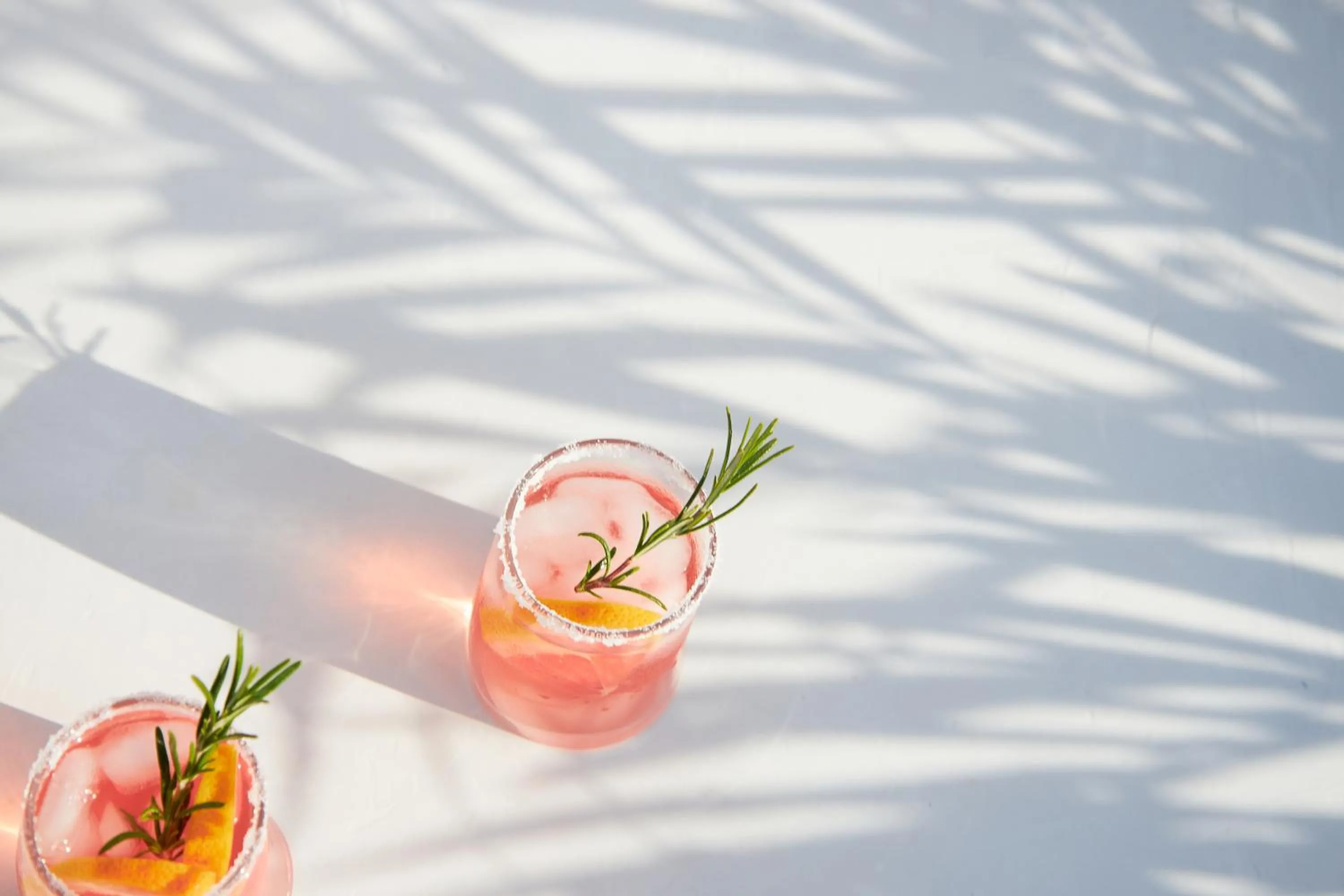 Food and drinks in The Hotel Zamora