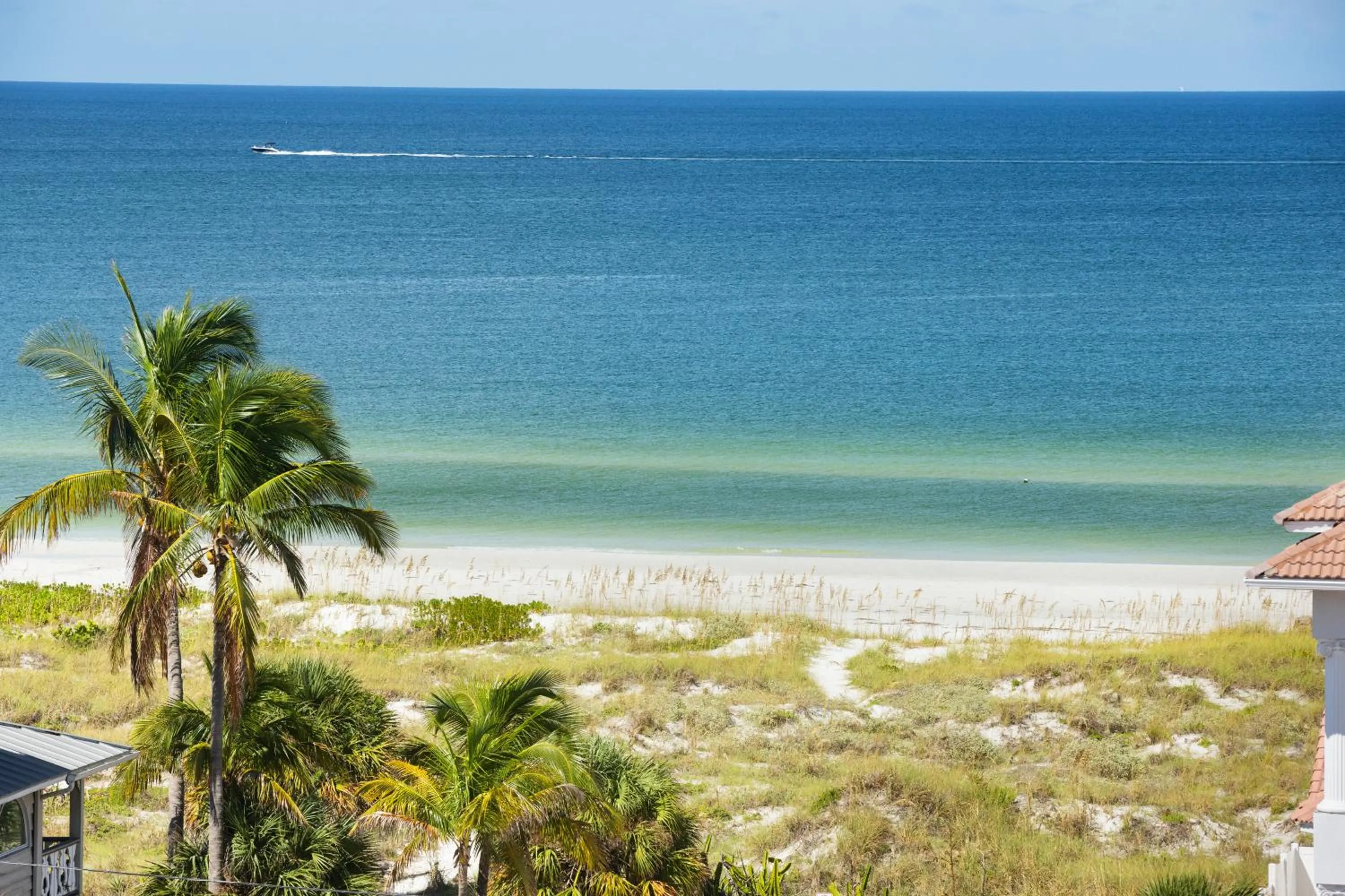 View (from property/room) in The Hotel Zamora