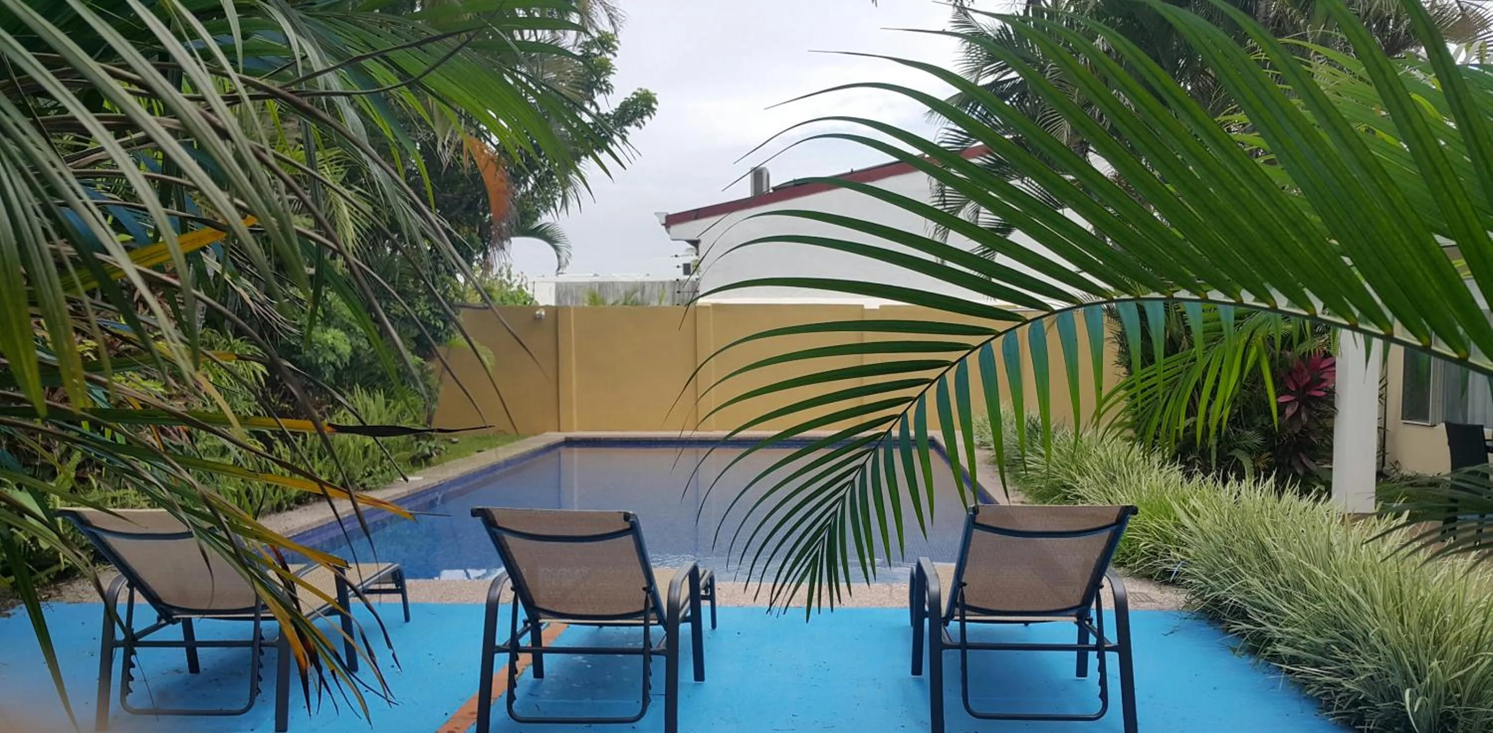 Garden in Hotel Portal Colonial