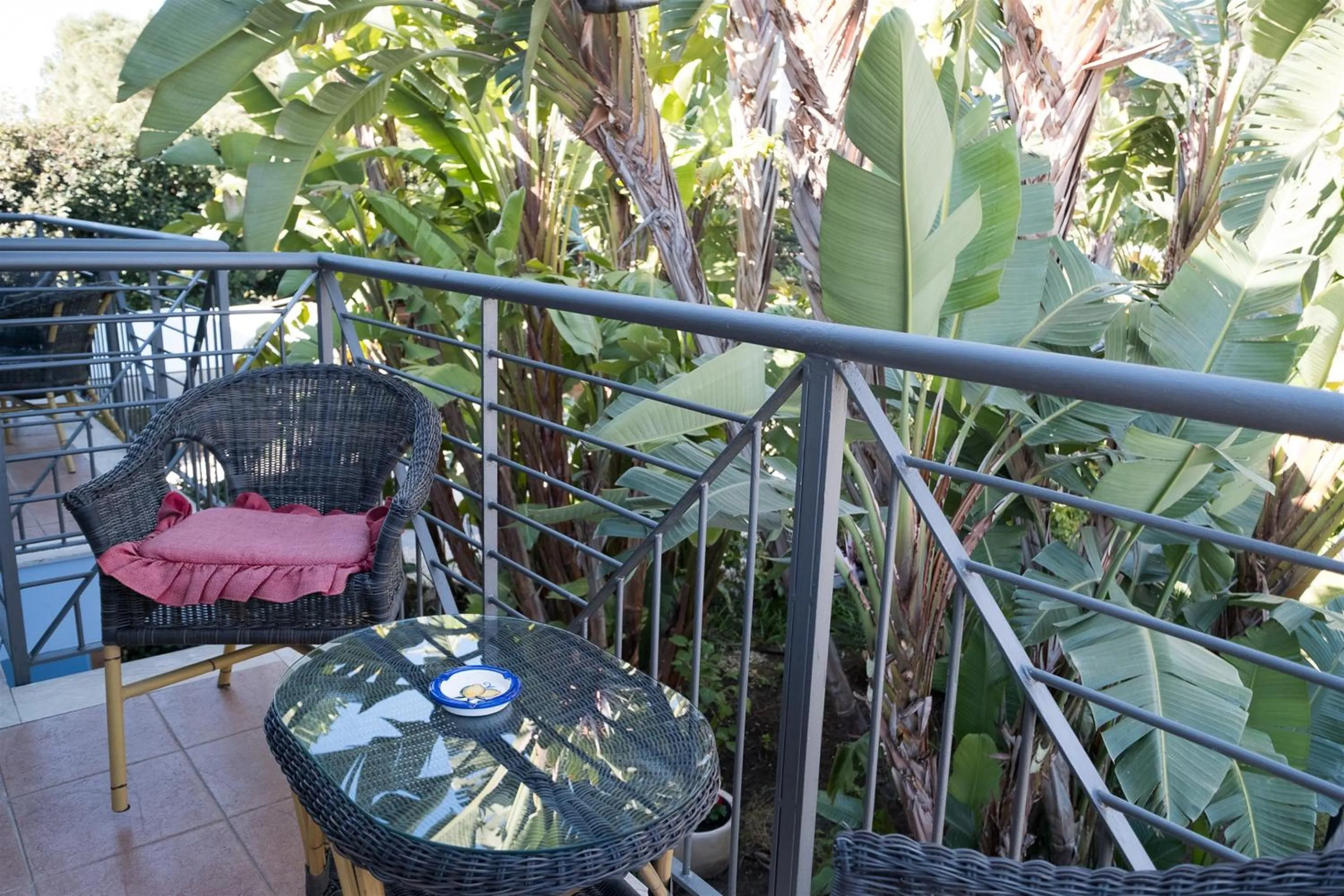 Balcony/Terrace in Hotel Villamare