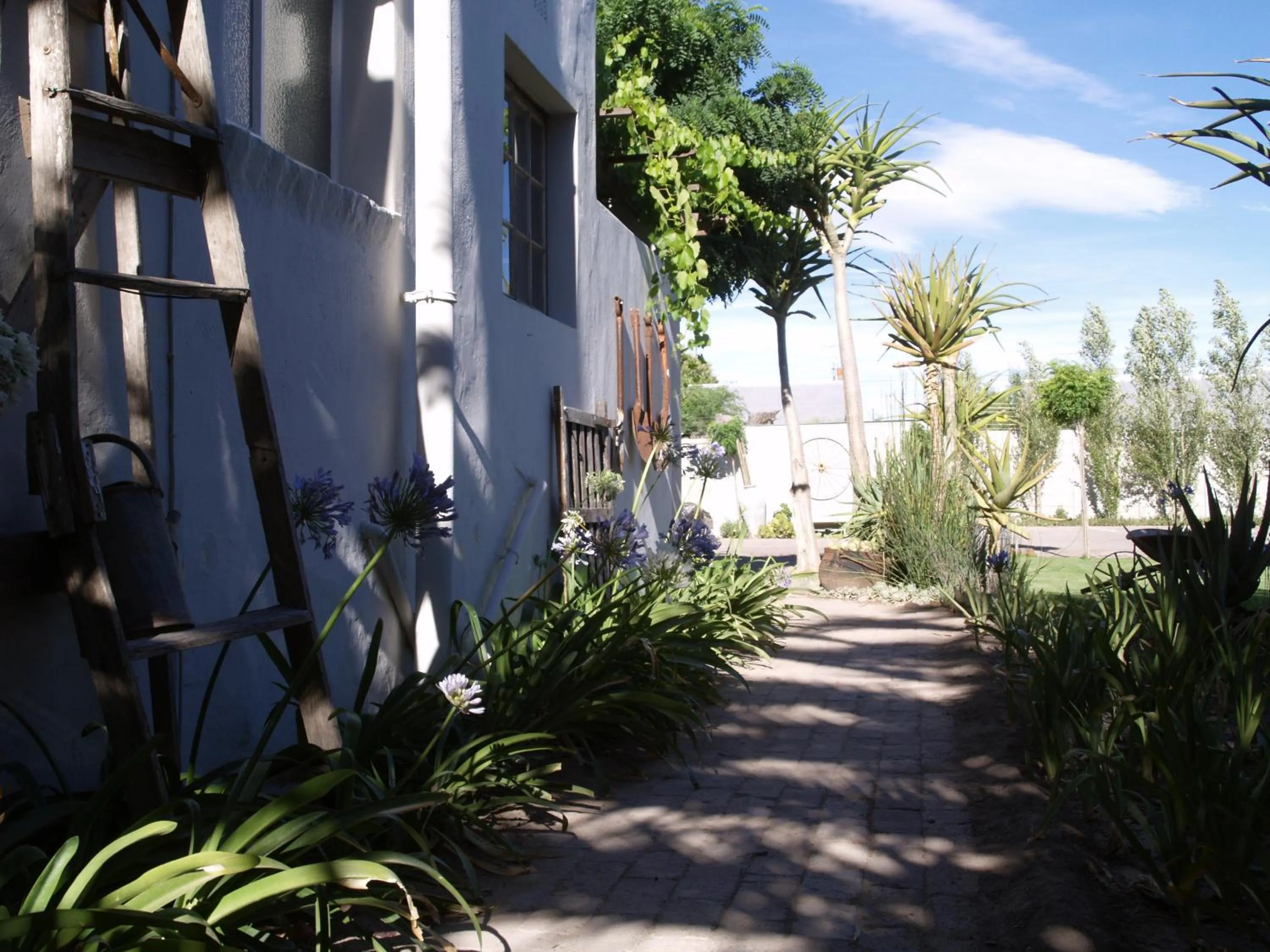 Garden in Die Herehuis
