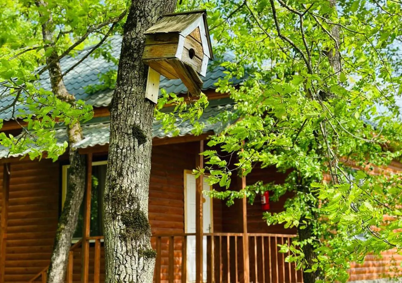 View (from property/room) in Deluxe Park Qusar Resort & Spa Hotel