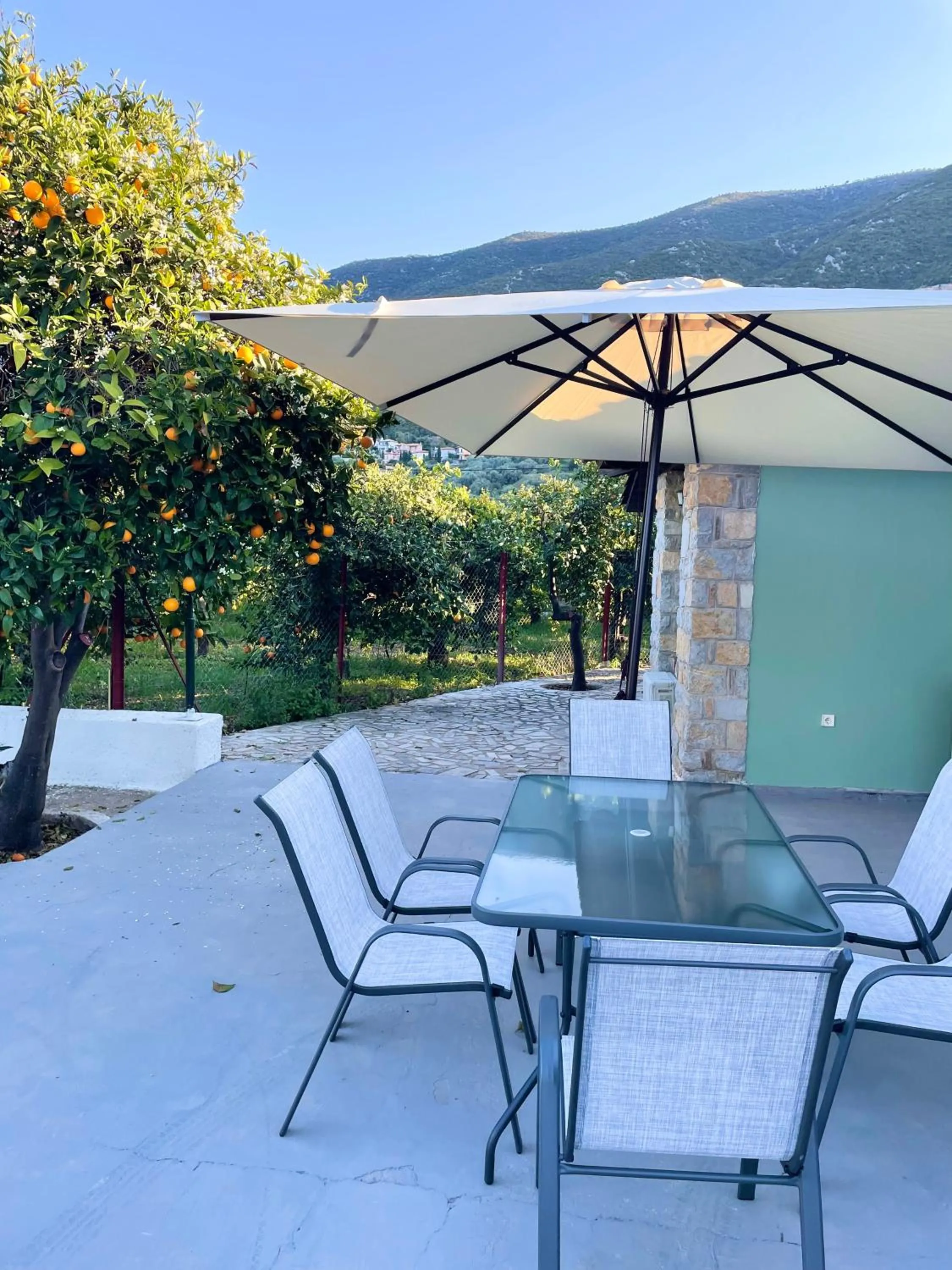 Garden in Citrus garden