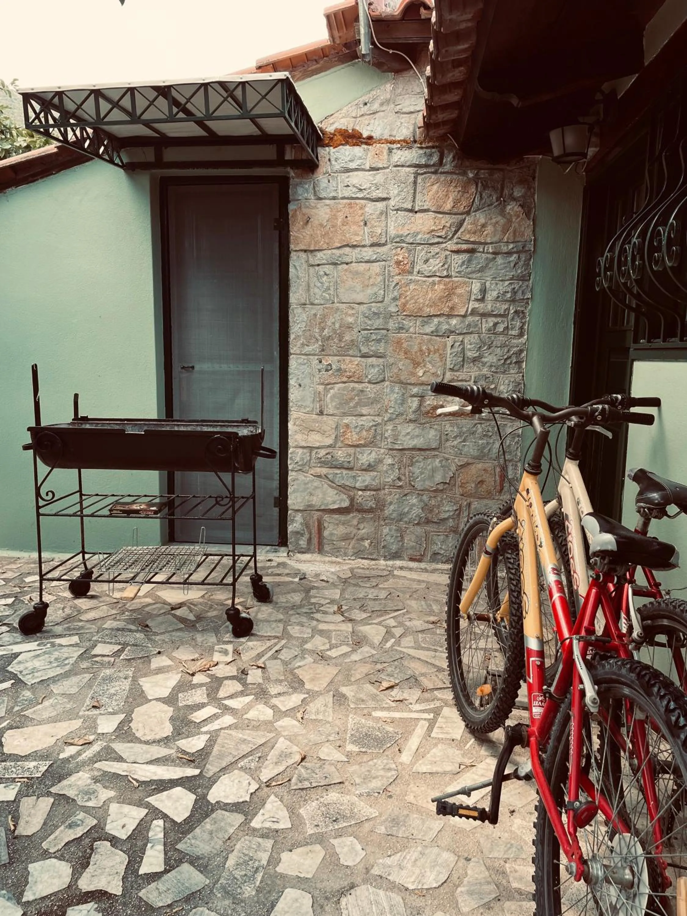 Cycling in Citrus garden