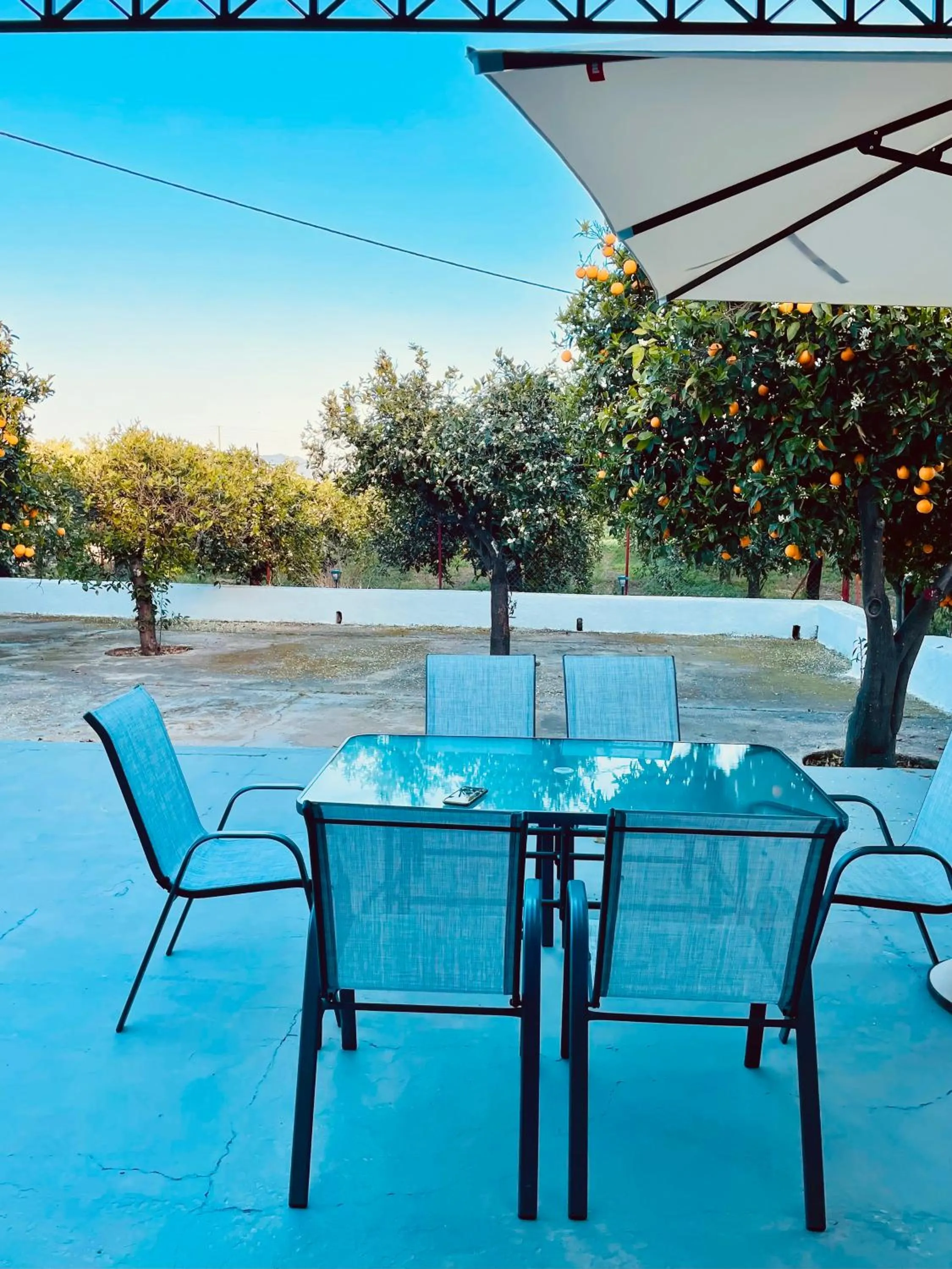 Patio in Citrus garden