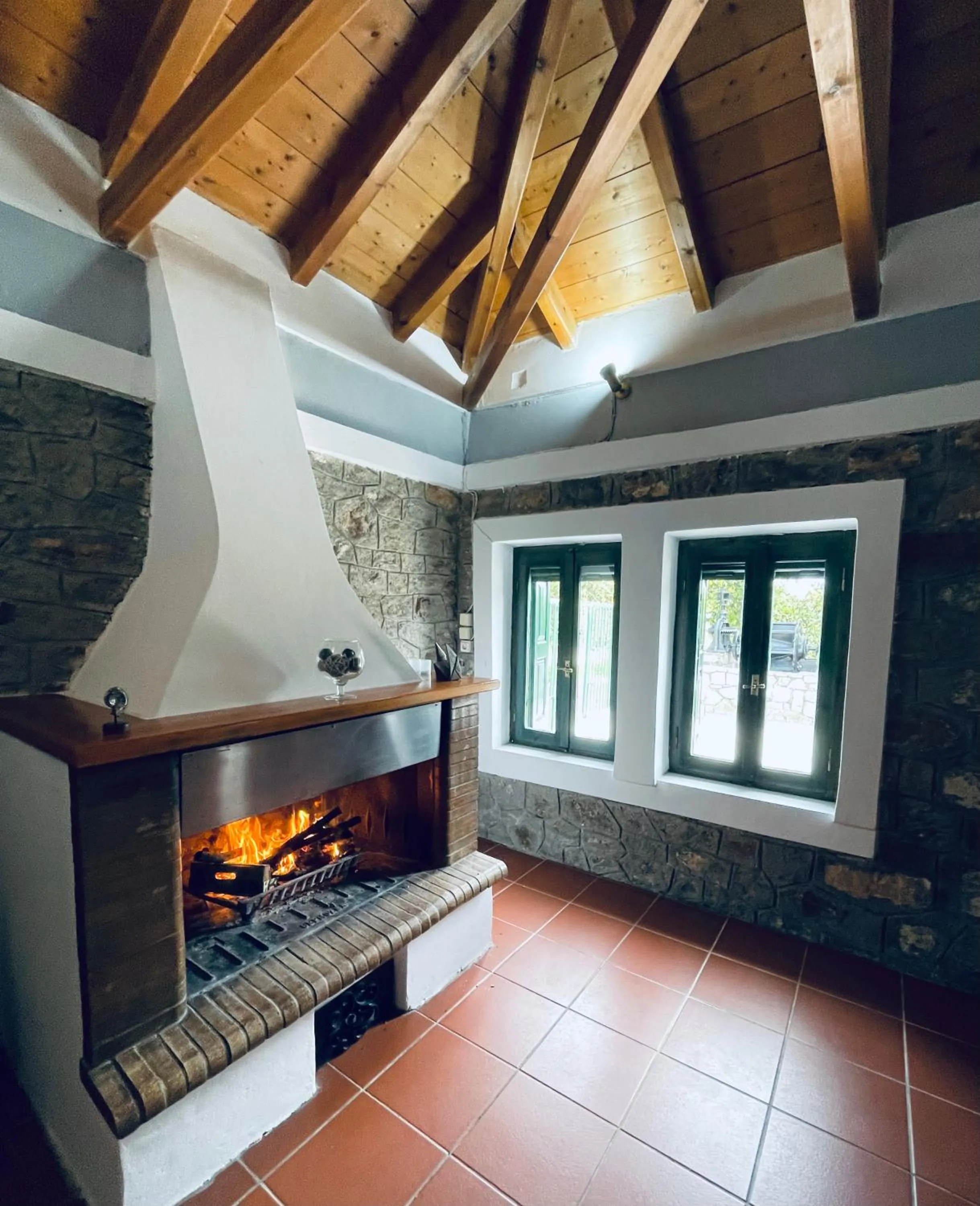 flat iron in Citrus garden