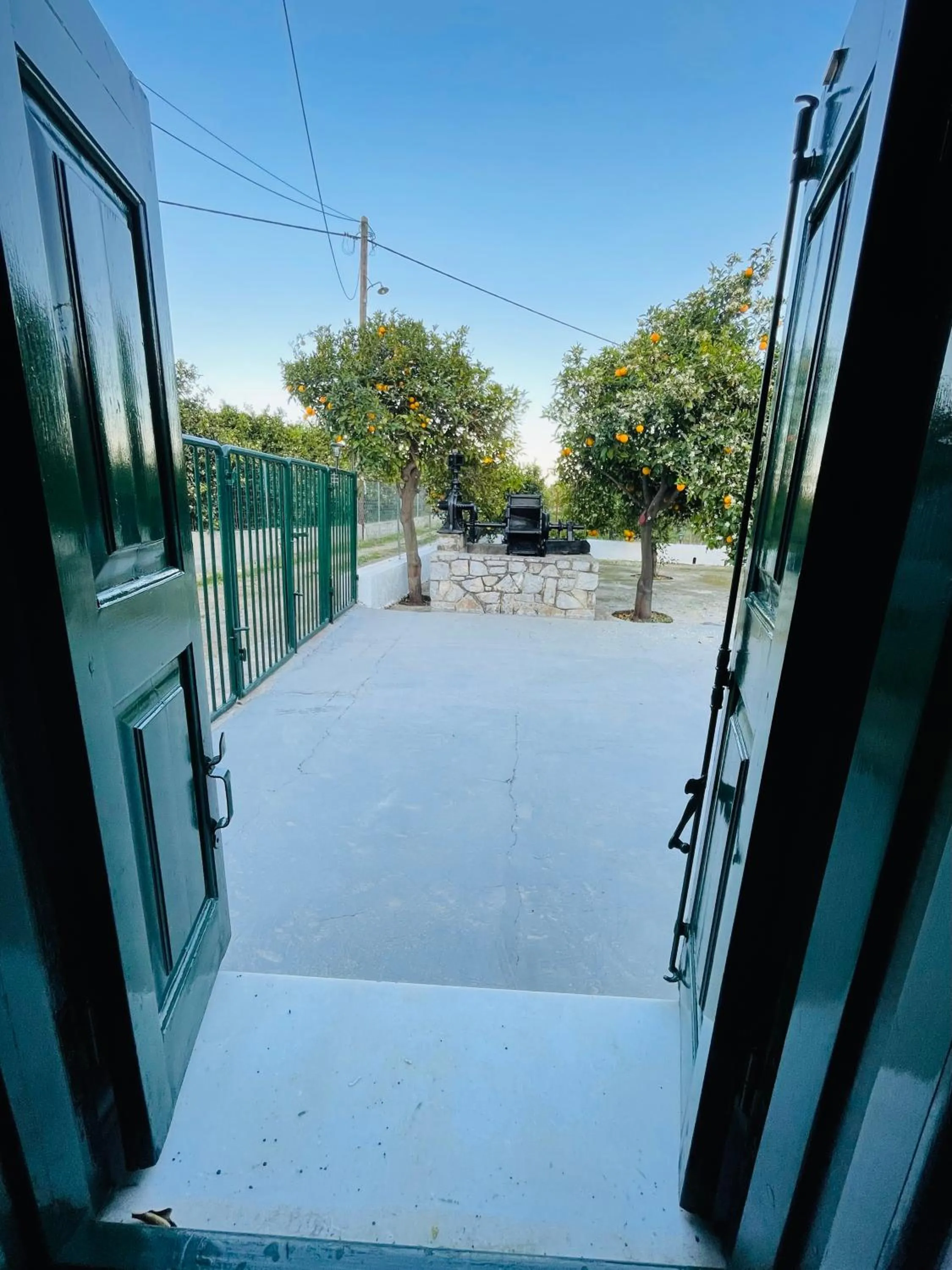 Balcony/Terrace in Citrus garden