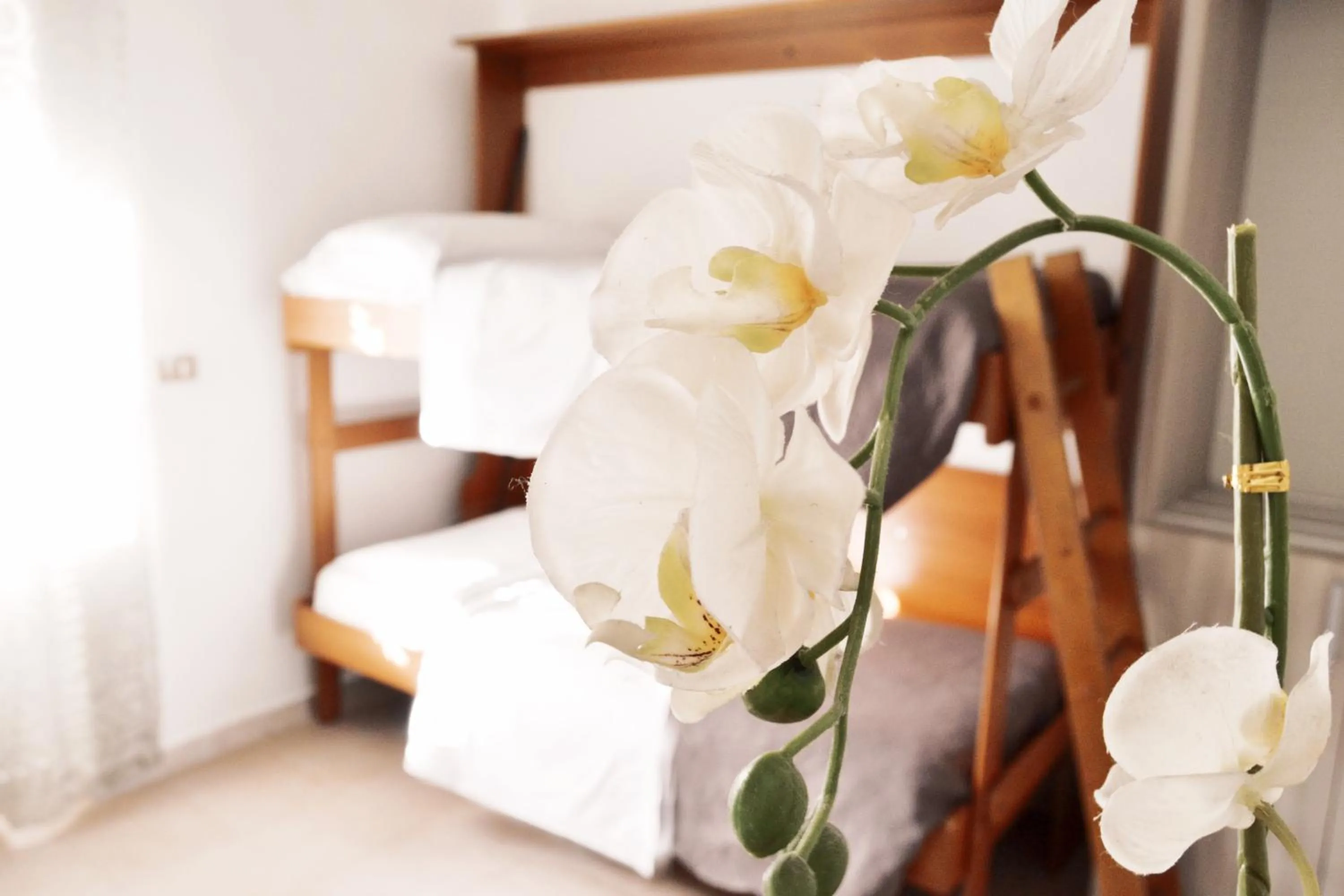 Bed in Hotel Colombo