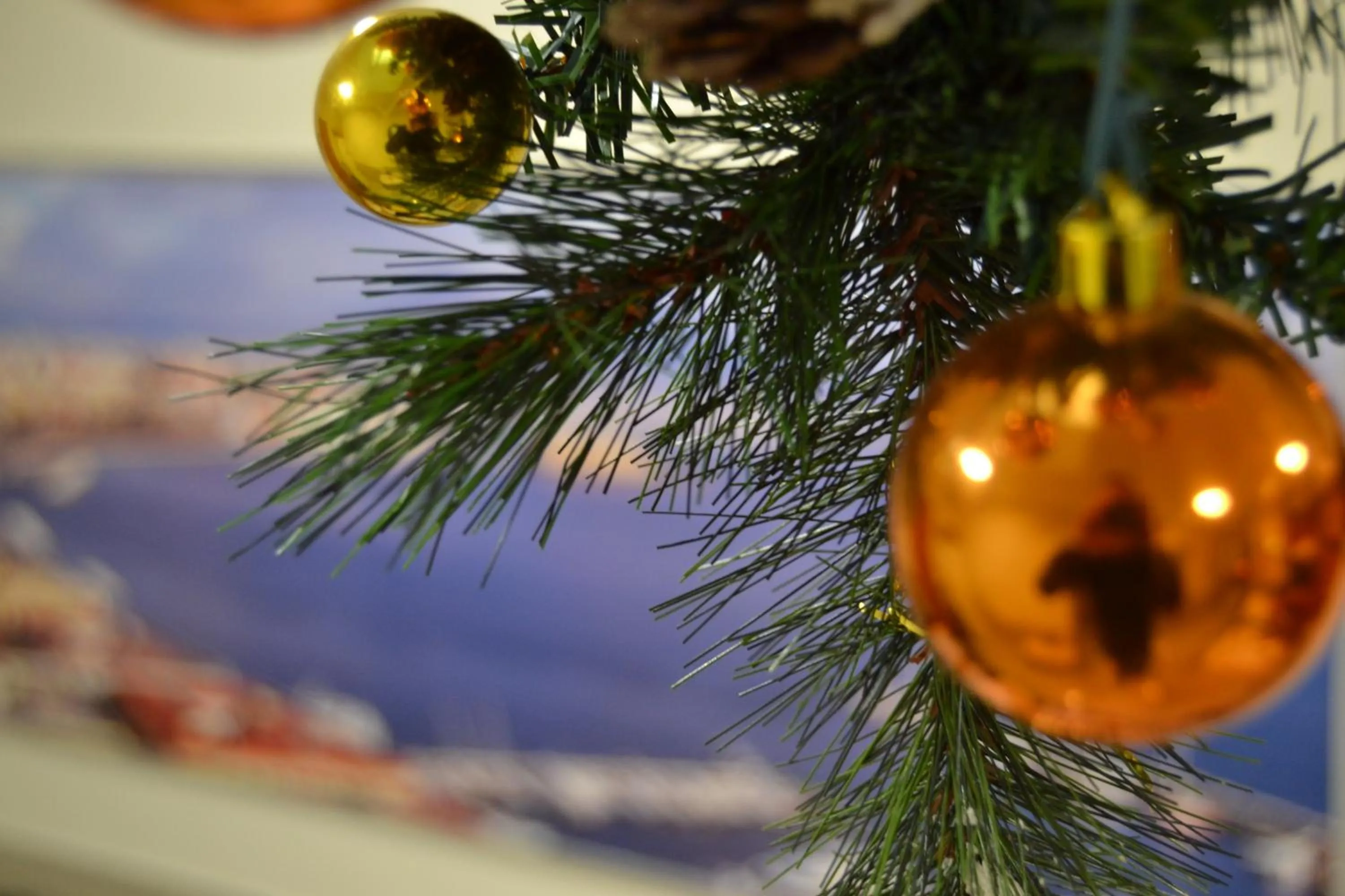 Decorative detail in Hotel Colombo