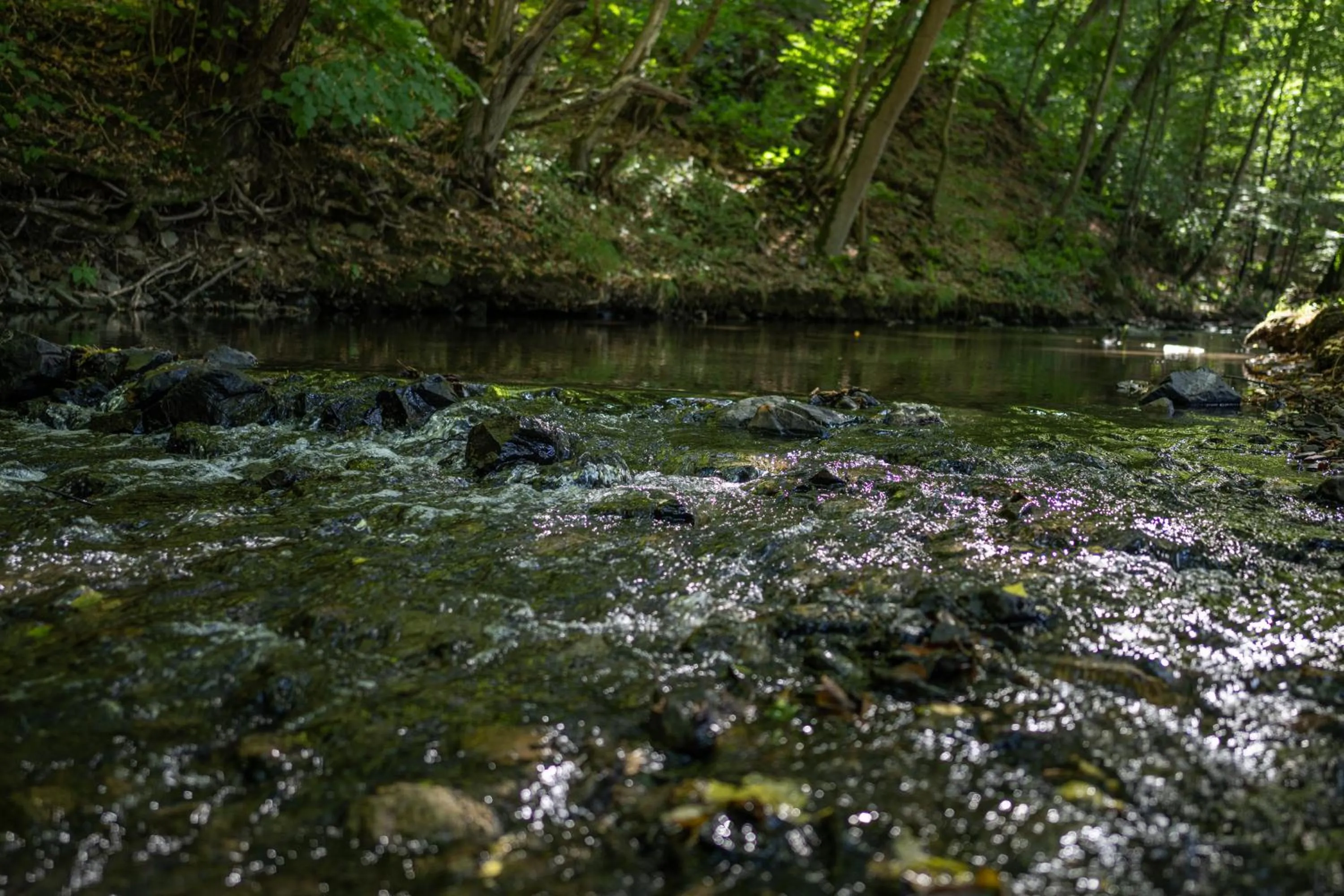 Nearby landmark in Thalmühle