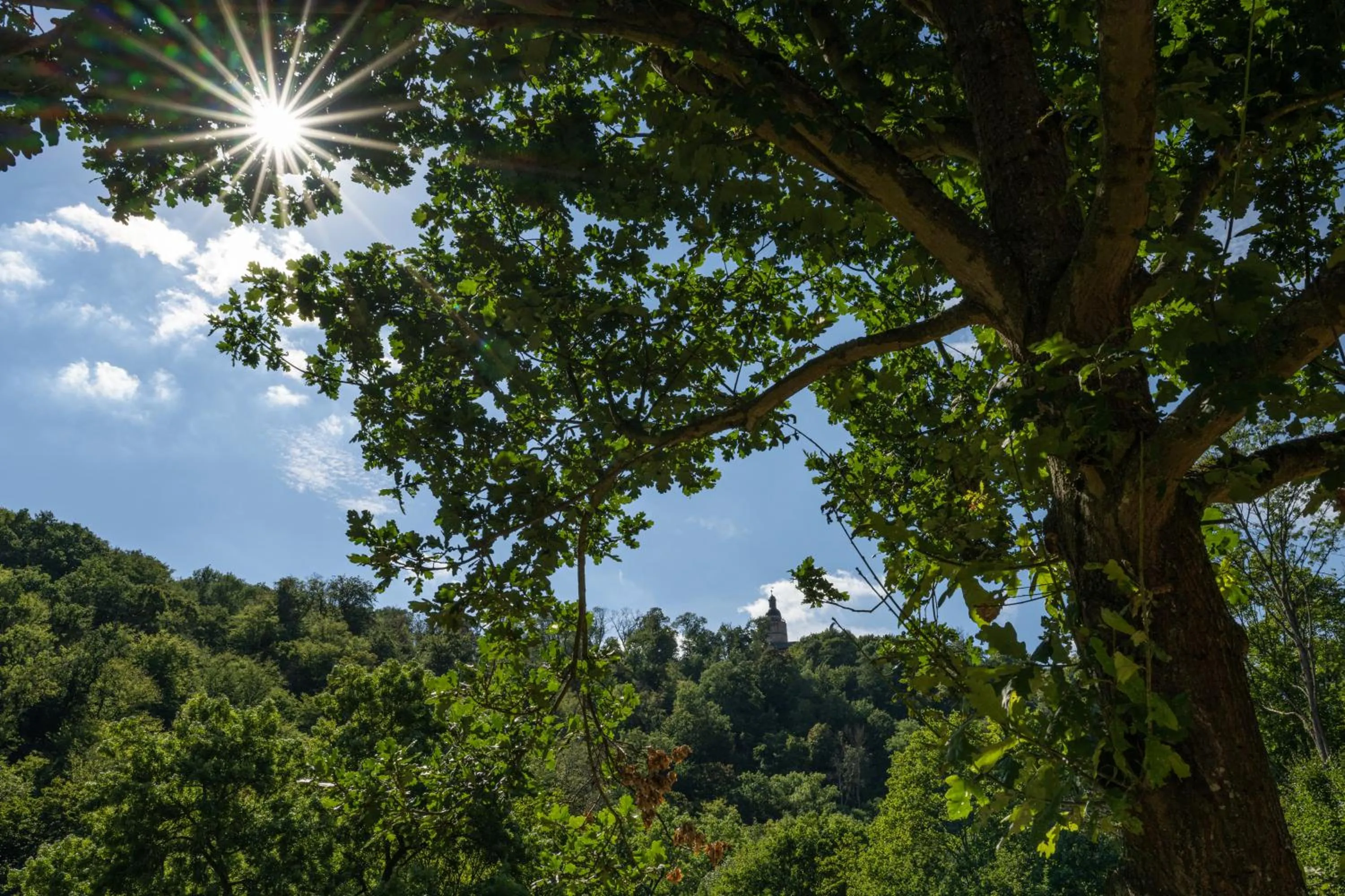 Landmark view in Thalmühle