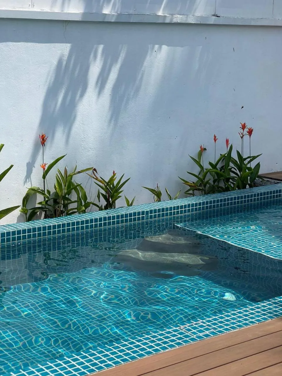 Swimming pool in Found Mansion