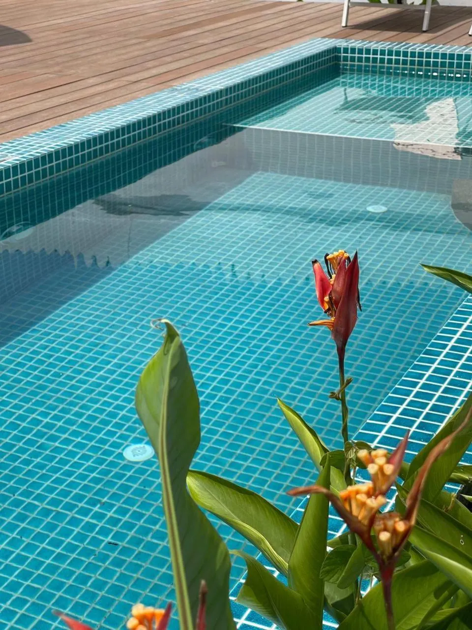 Swimming pool in Found Mansion