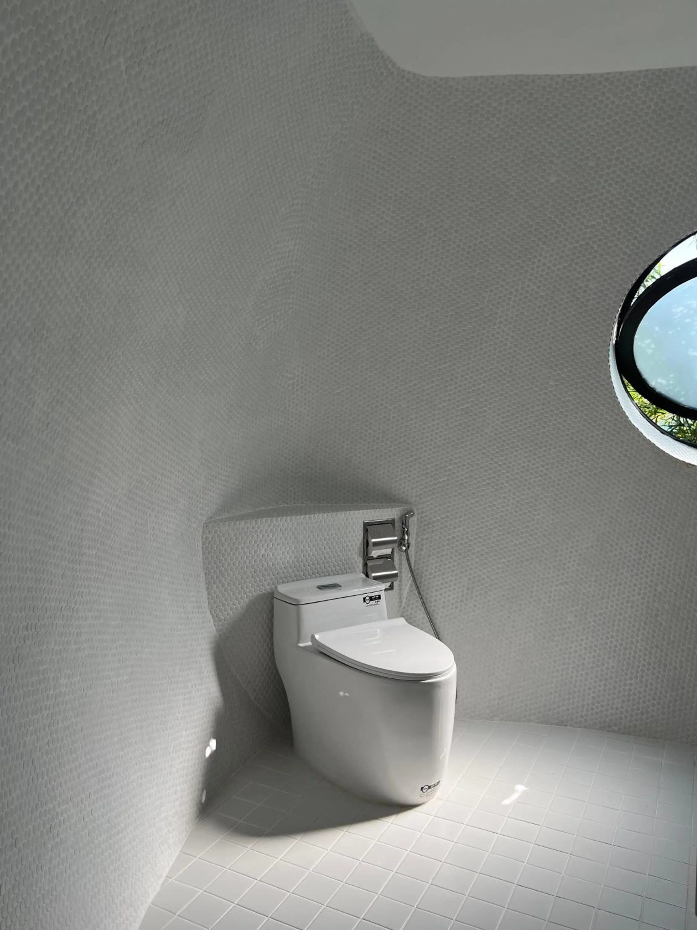 Toilet in Found Mansion