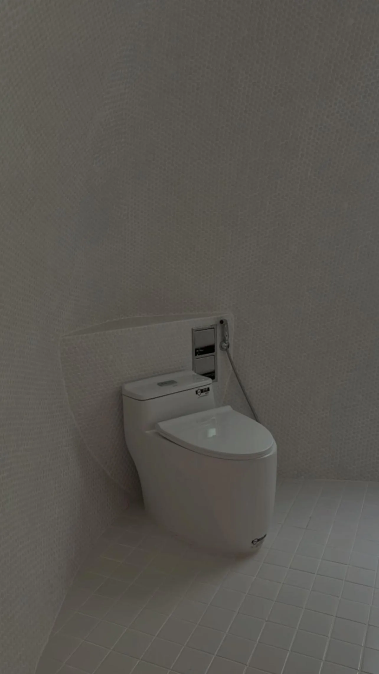 Toilet in Found Mansion