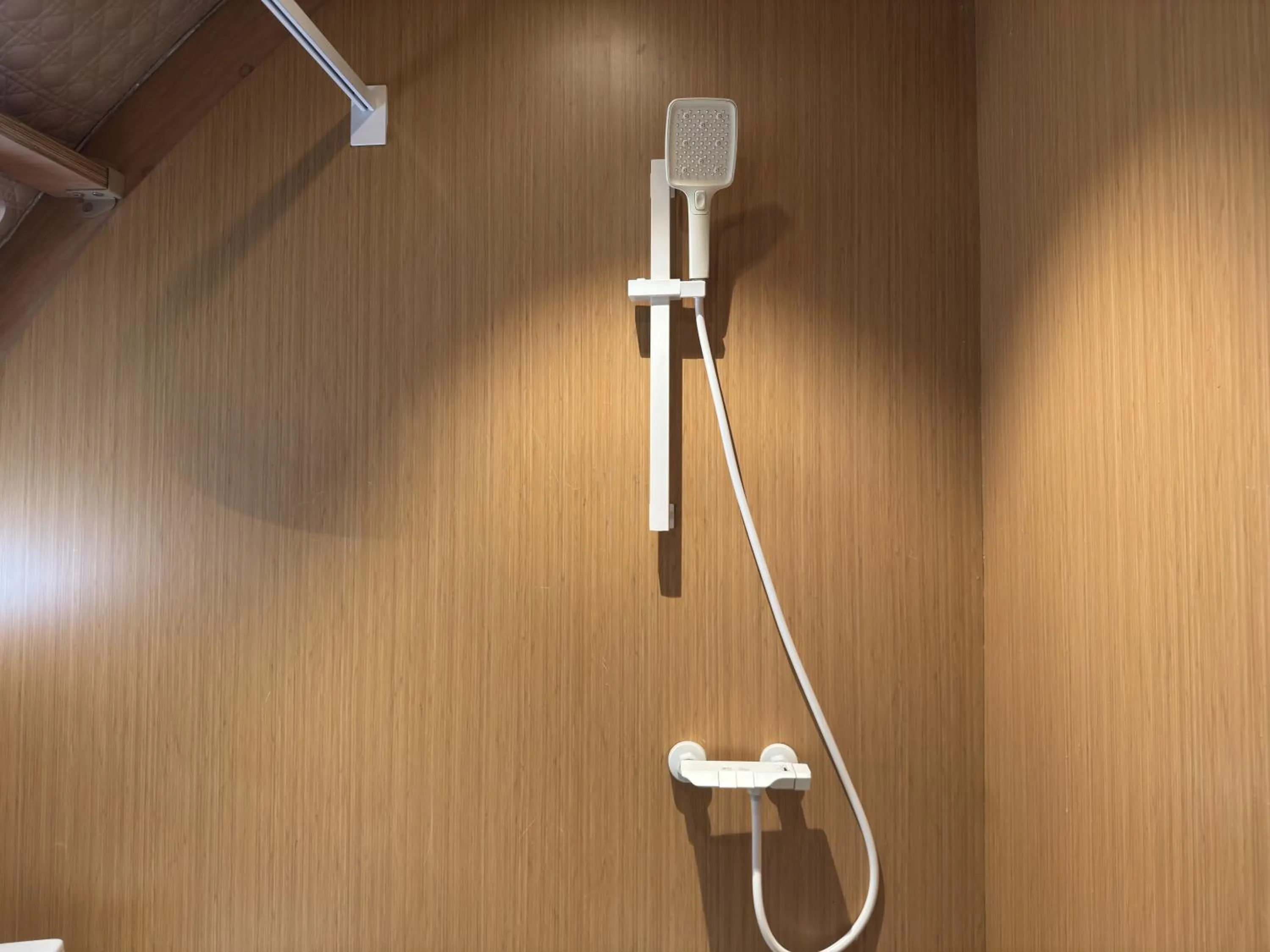 Toilet in Found Mansion