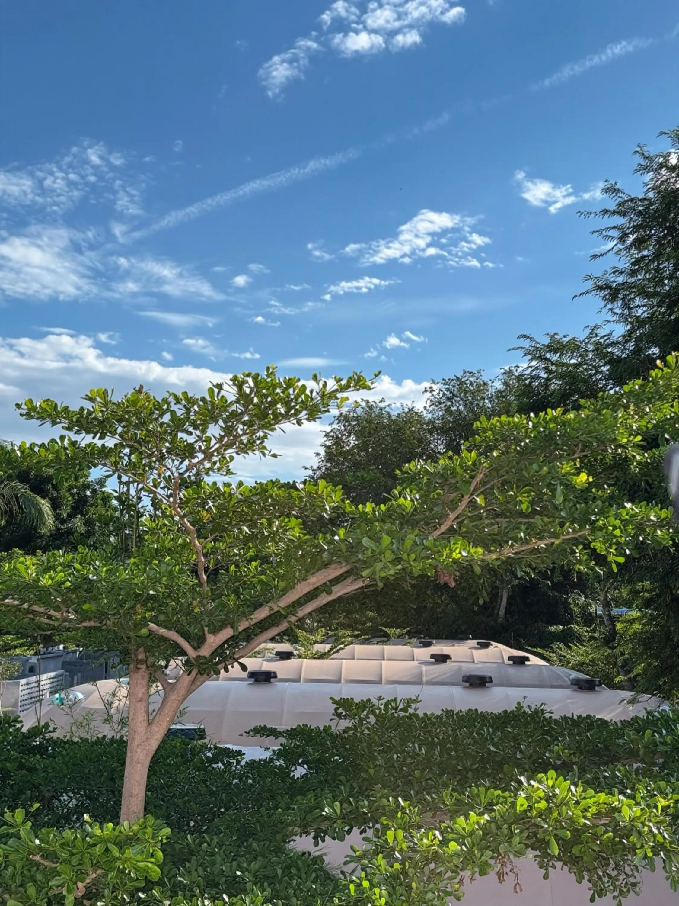 Property building in Found Mansion