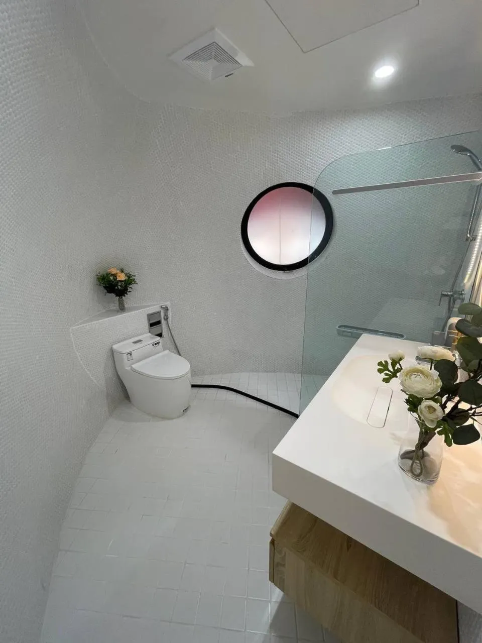 Toilet in Found Mansion