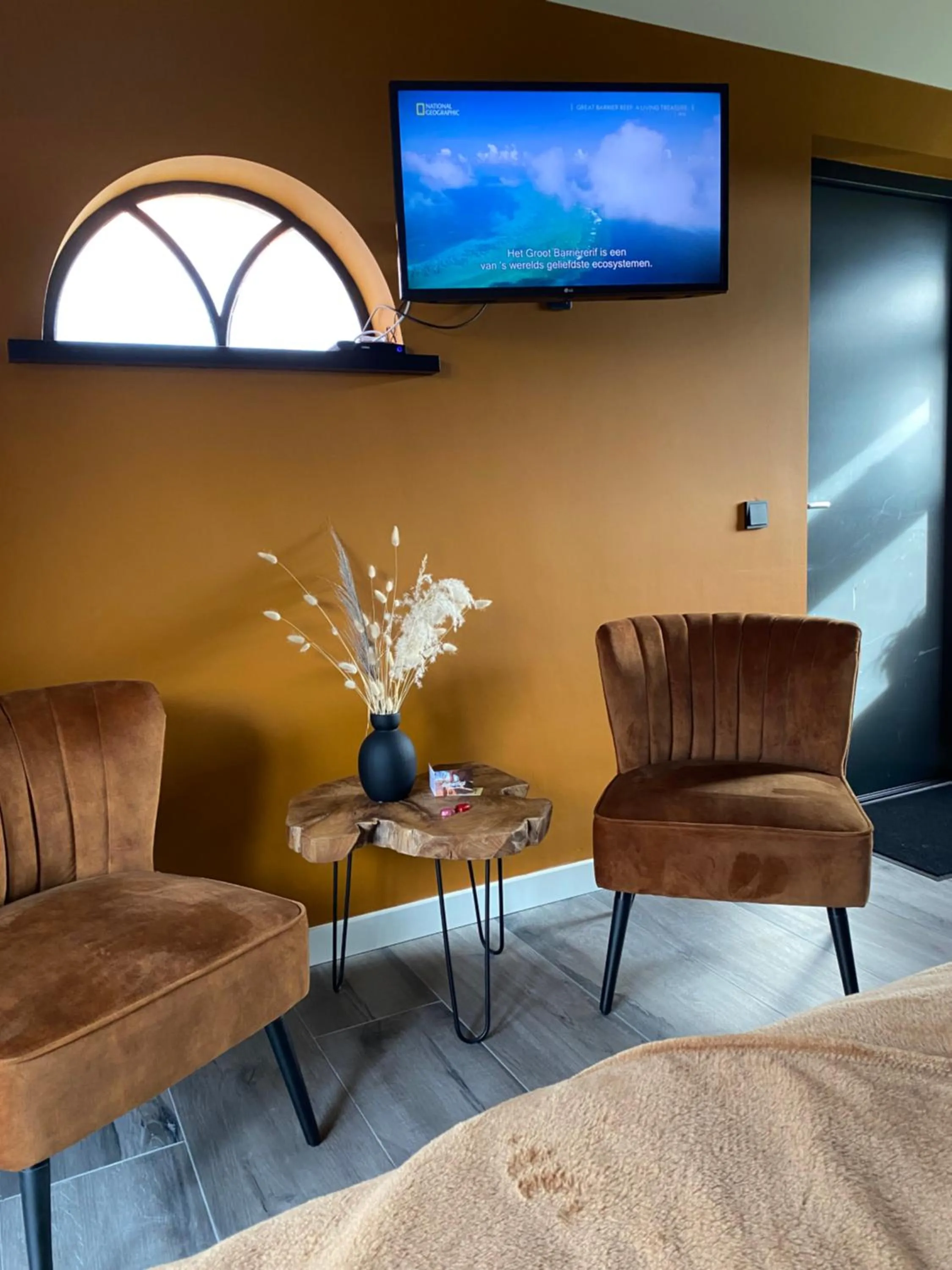 TV and multimedia in Domestico Bed & Breakfast