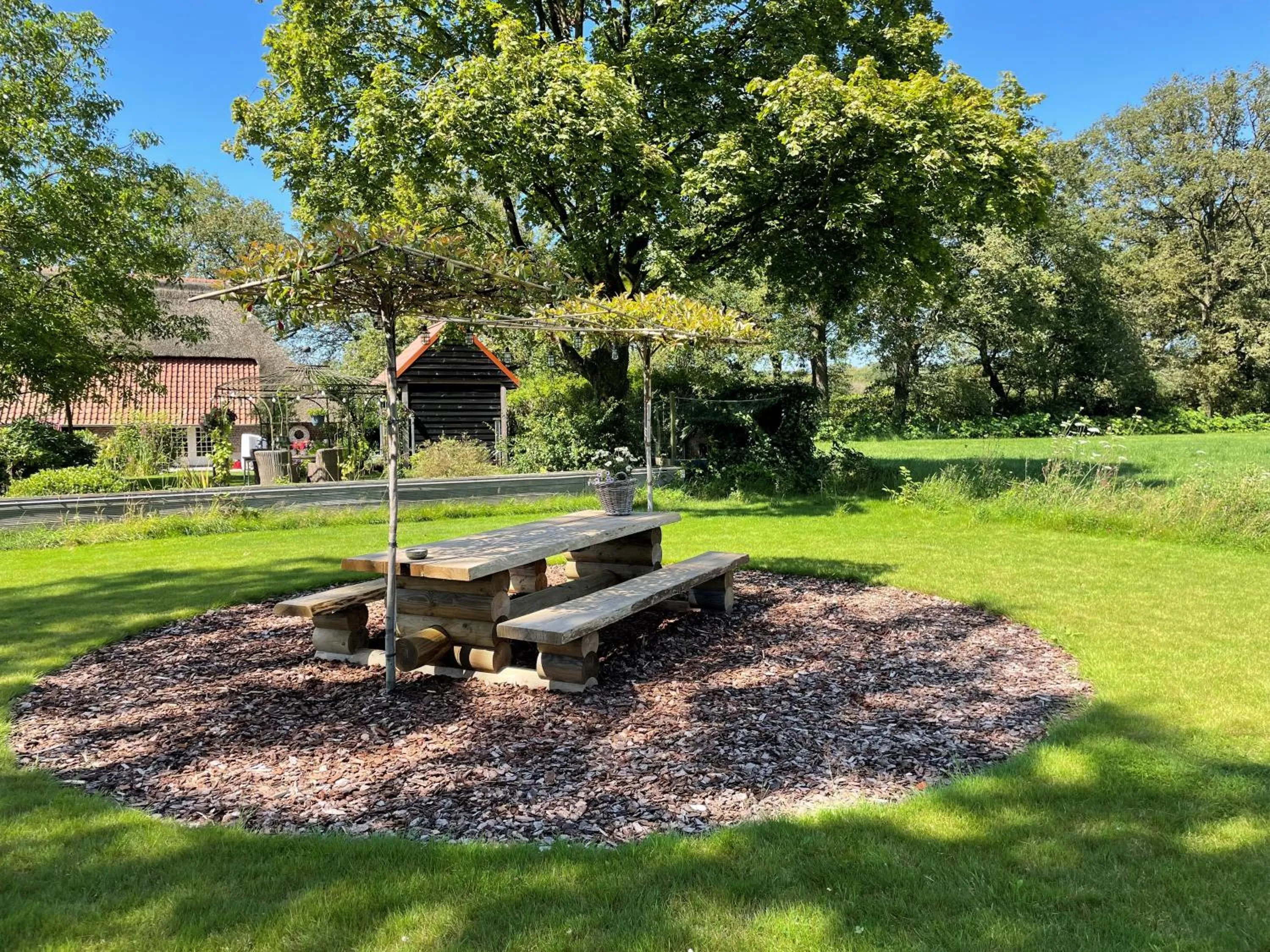 Garden in Domestico Bed & Breakfast