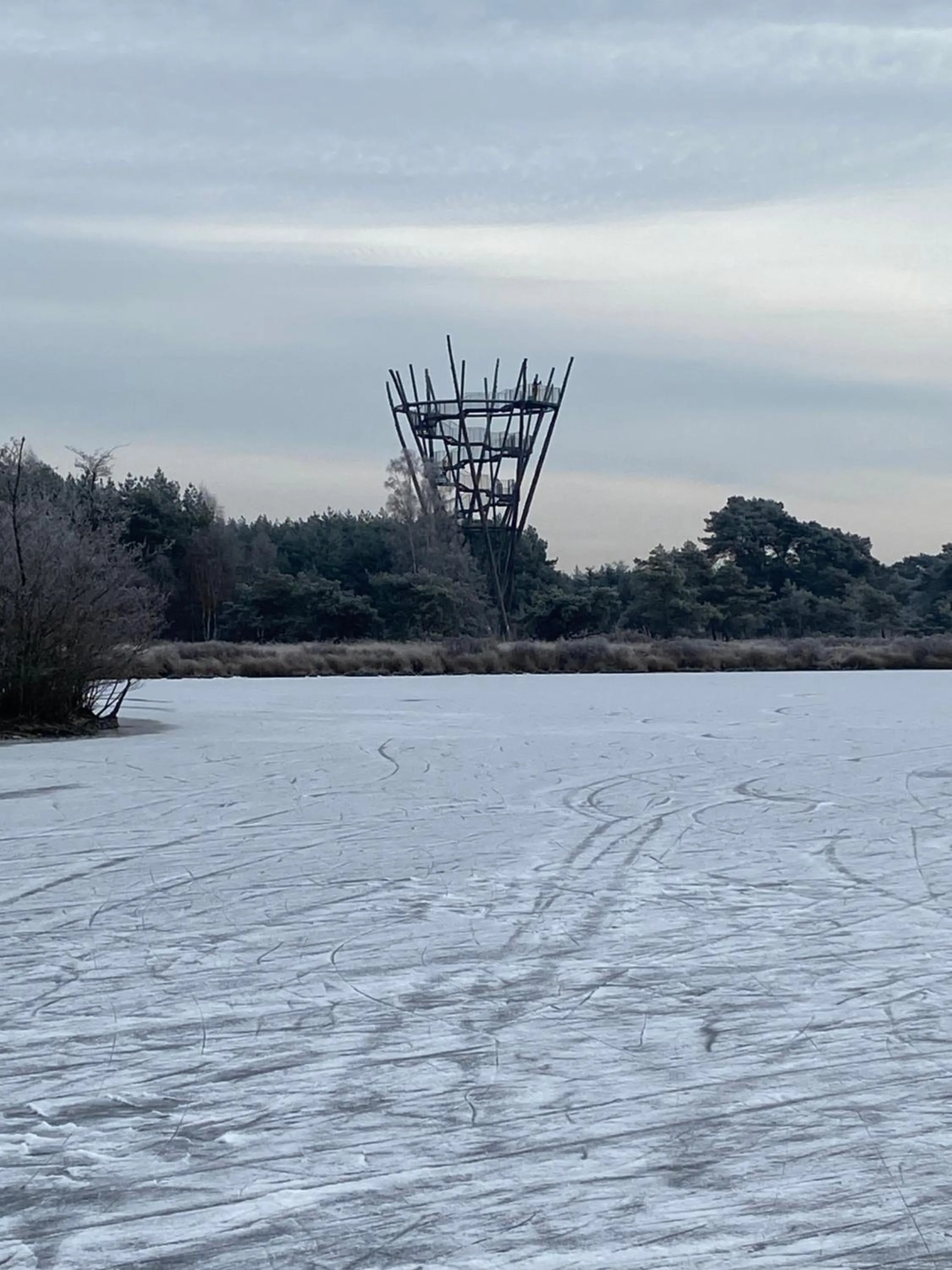 Natural landscape in Domestico Bed & Breakfast