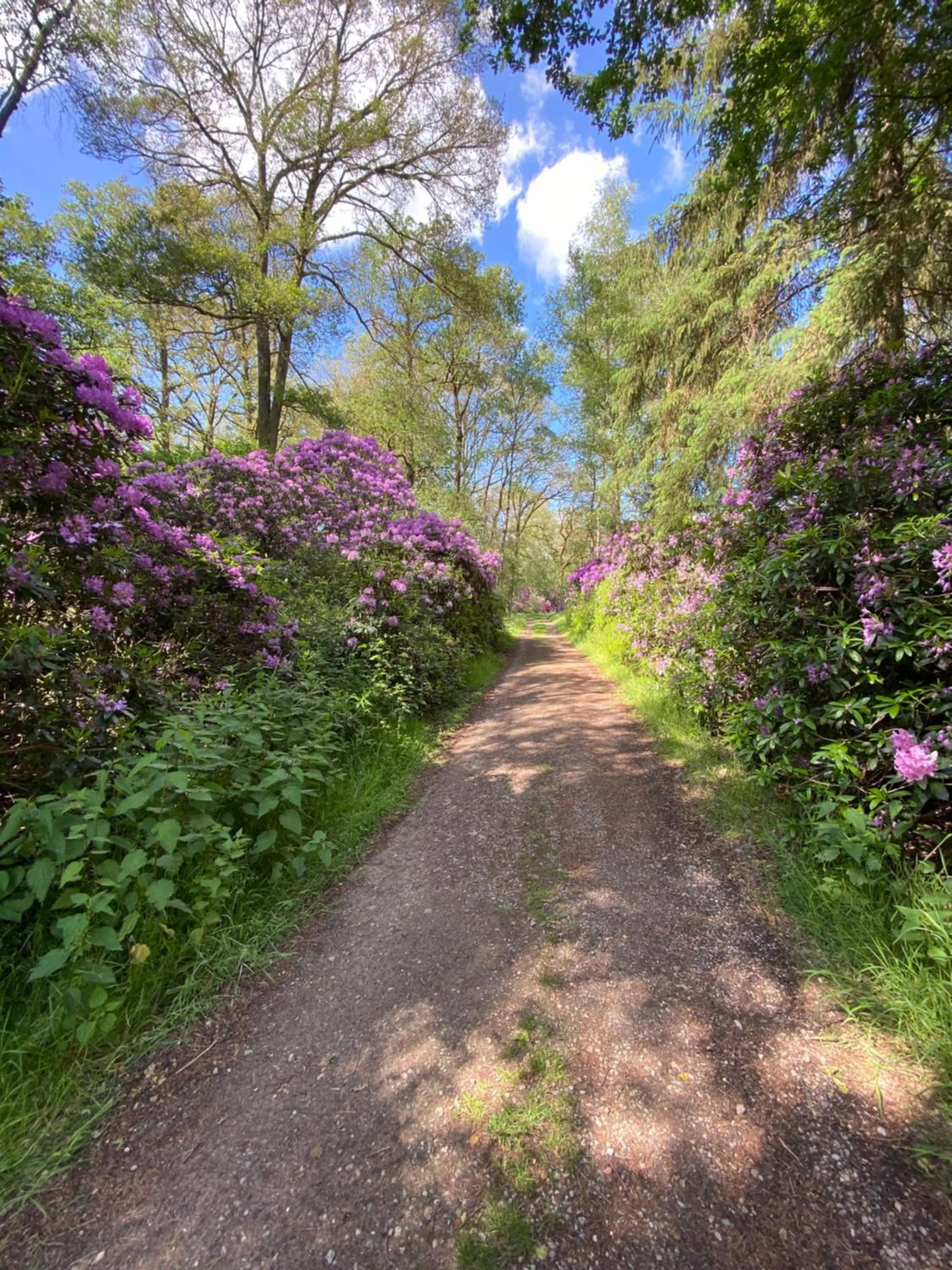 Day in Domestico Bed & Breakfast