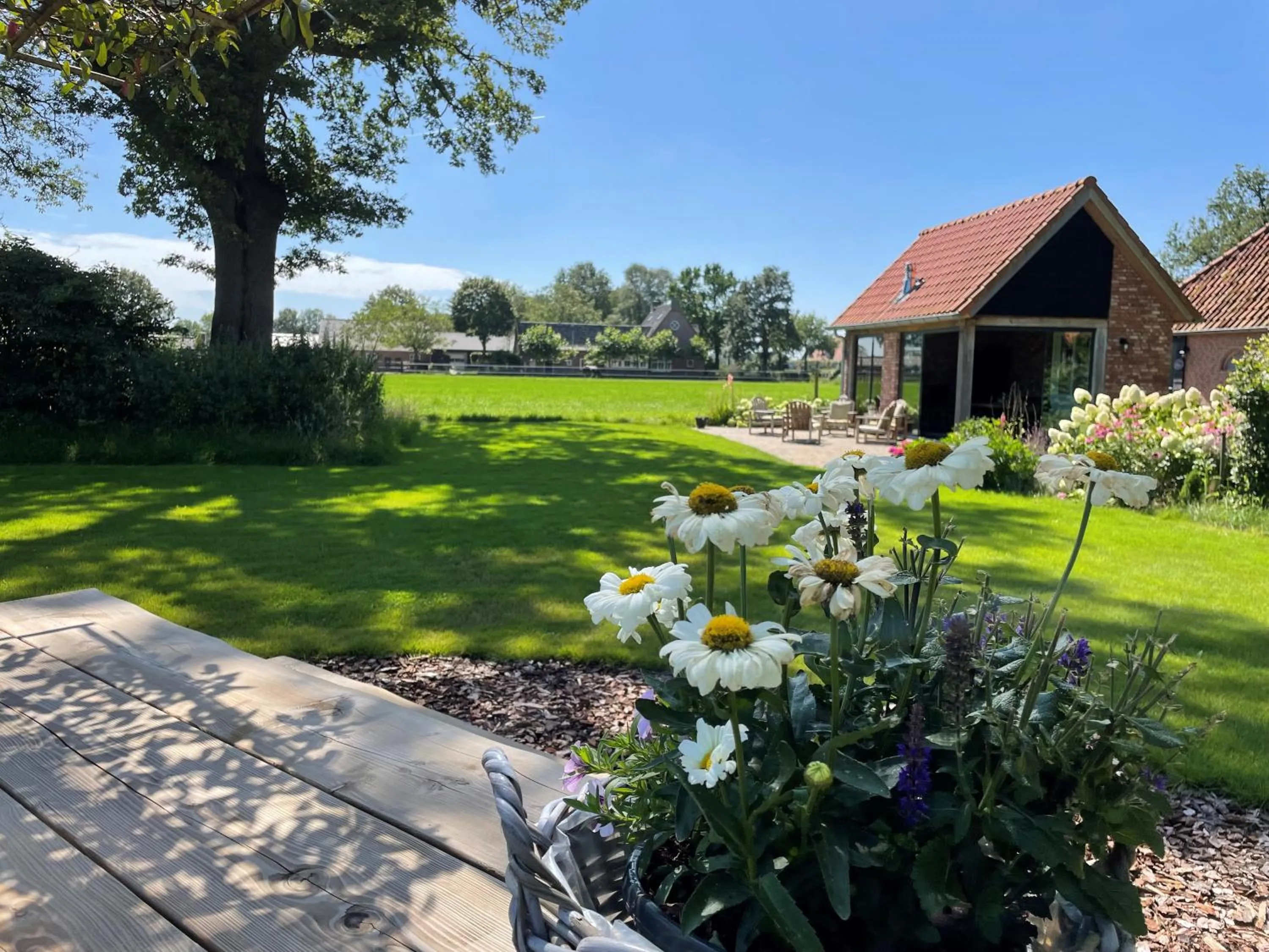 Garden in Domestico Bed & Breakfast