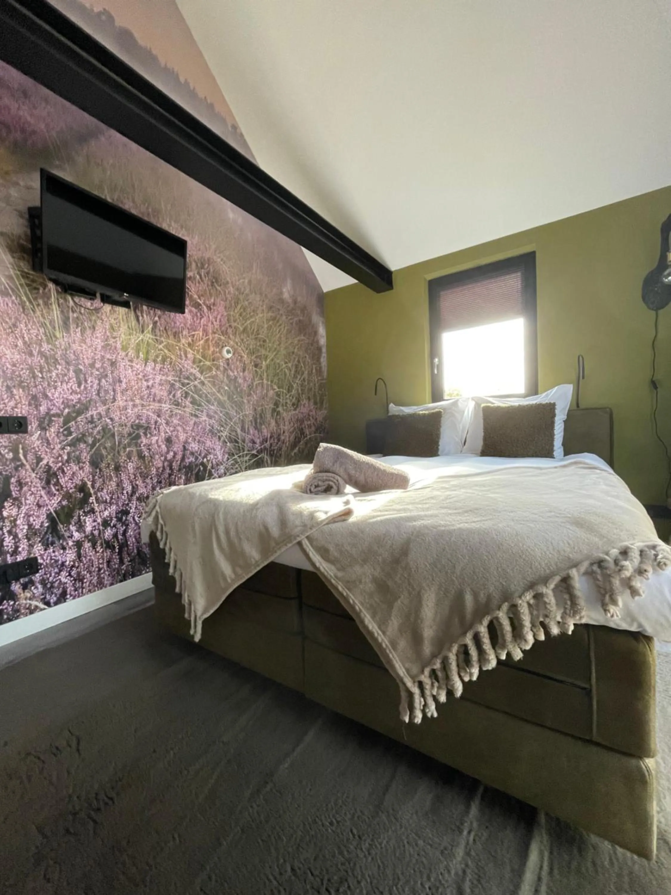 TV and multimedia, Bed in Domestico Bed & Breakfast