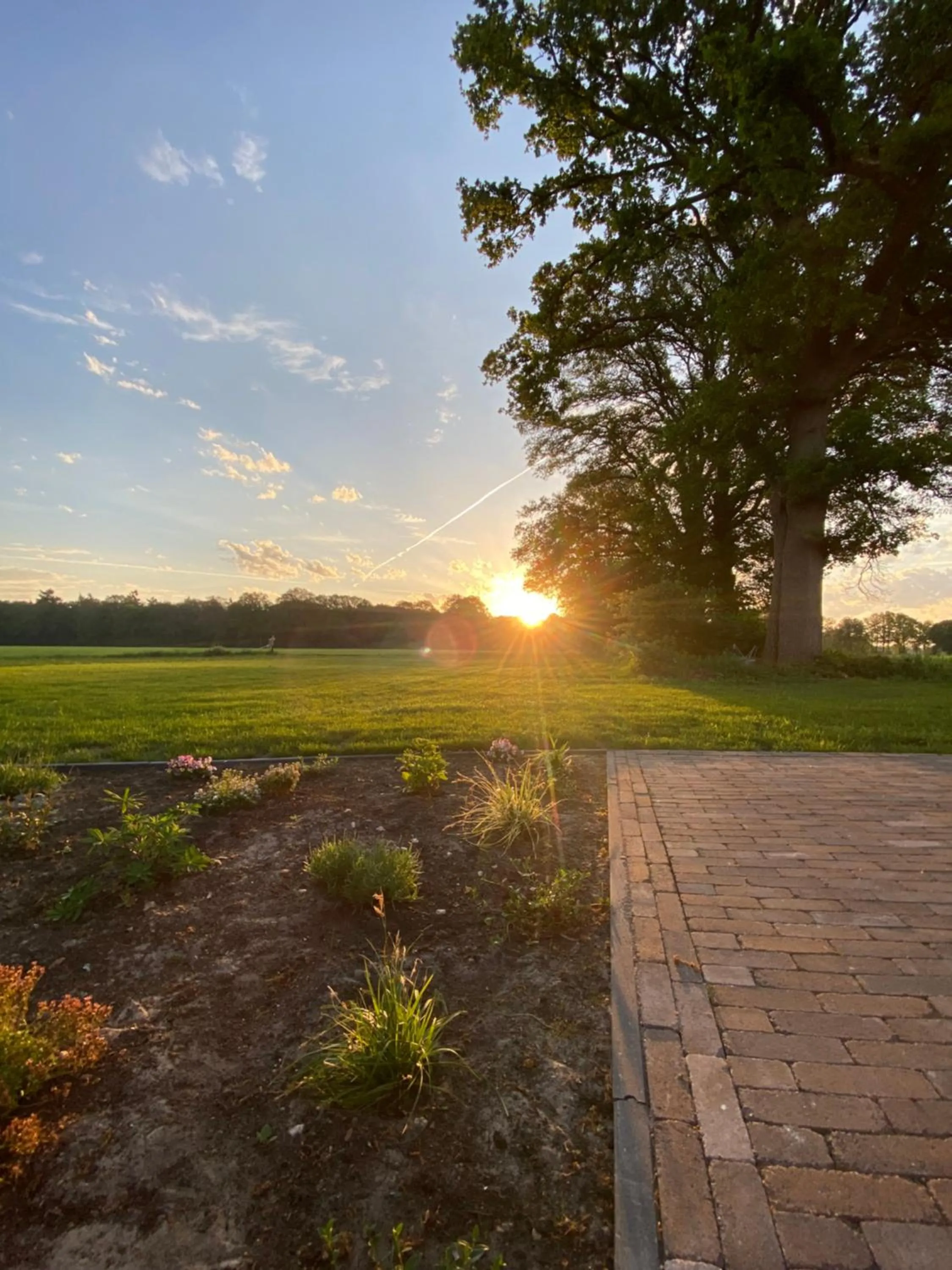 Day in Domestico Bed & Breakfast